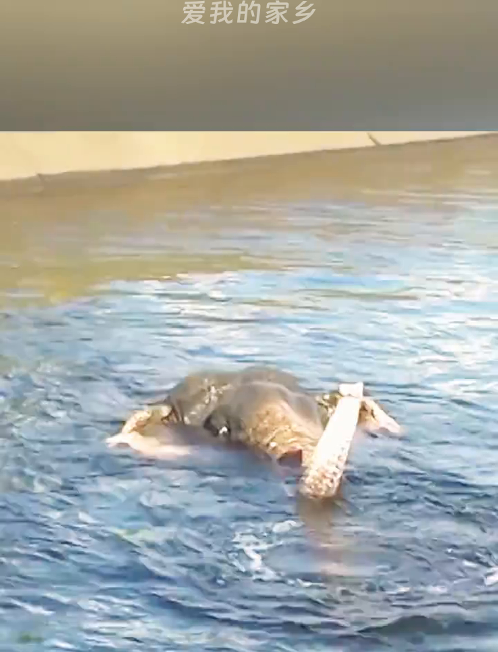 大家伙差点在水沟里淹死,幸亏村里人及时发现