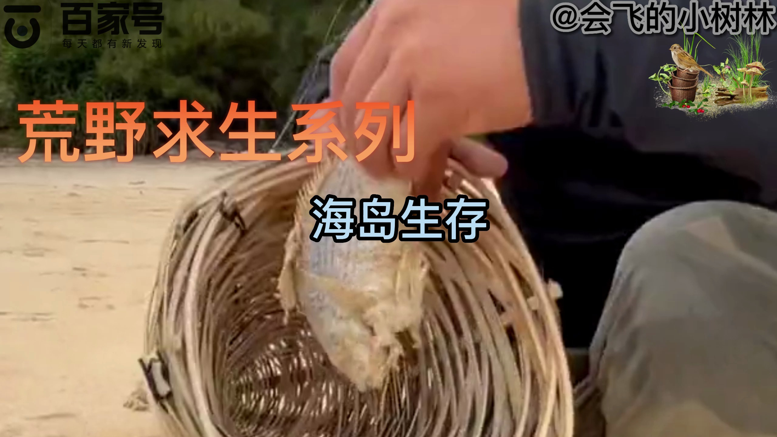 今天继续野外生存,今天教大家如何在野外制作海盐!