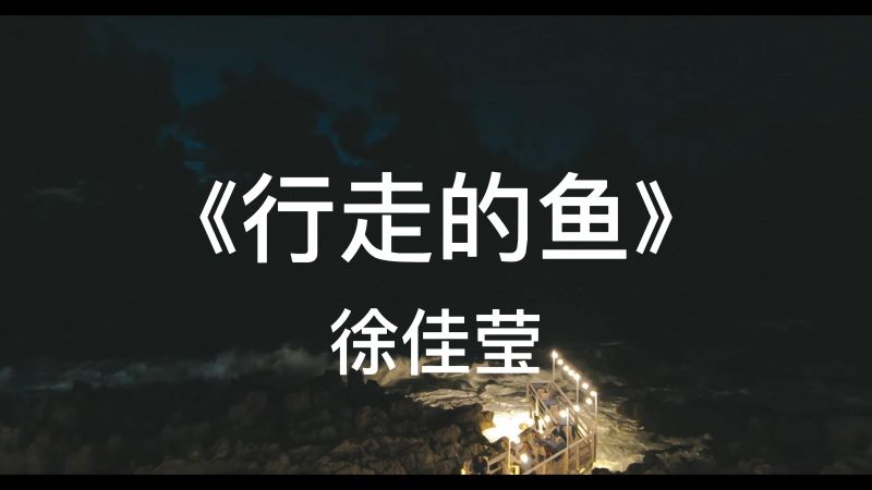 徐佳莹《行走的鱼》这就是你期待的长成大人么,音乐,流行音乐,好看视频