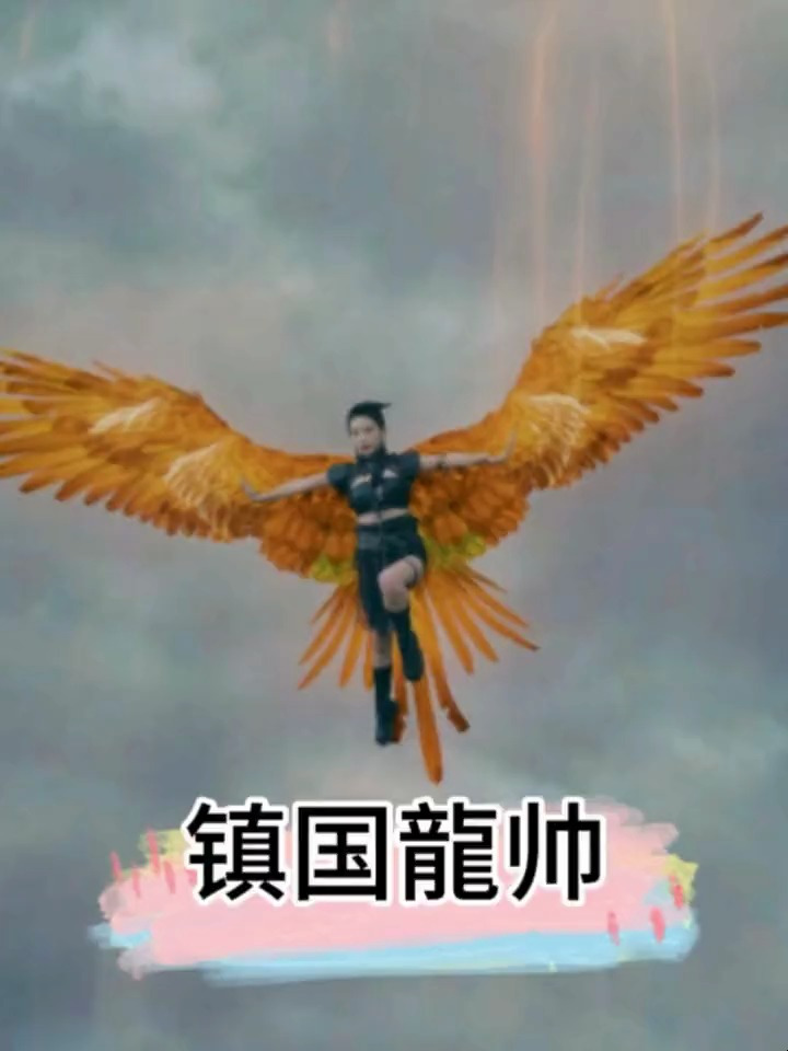 镇国龙帅2|就你们这虾兵蟹将在我这分分钟钟搞定