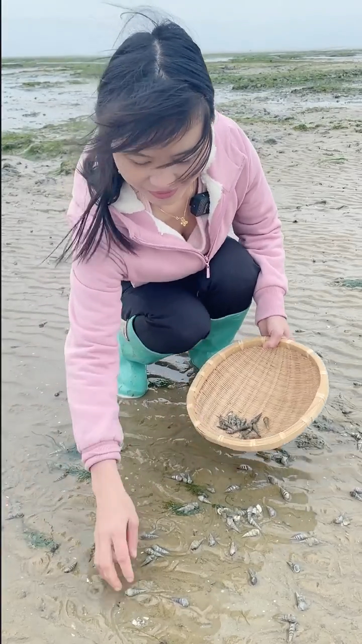 渔妹赶海捡海螺捡到篮子都装不下,拿回家爆炒超级香,要一起玩吗