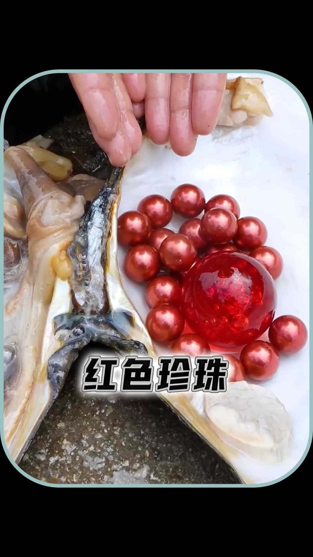 女孩在河蚌里发现超大红色珍珠