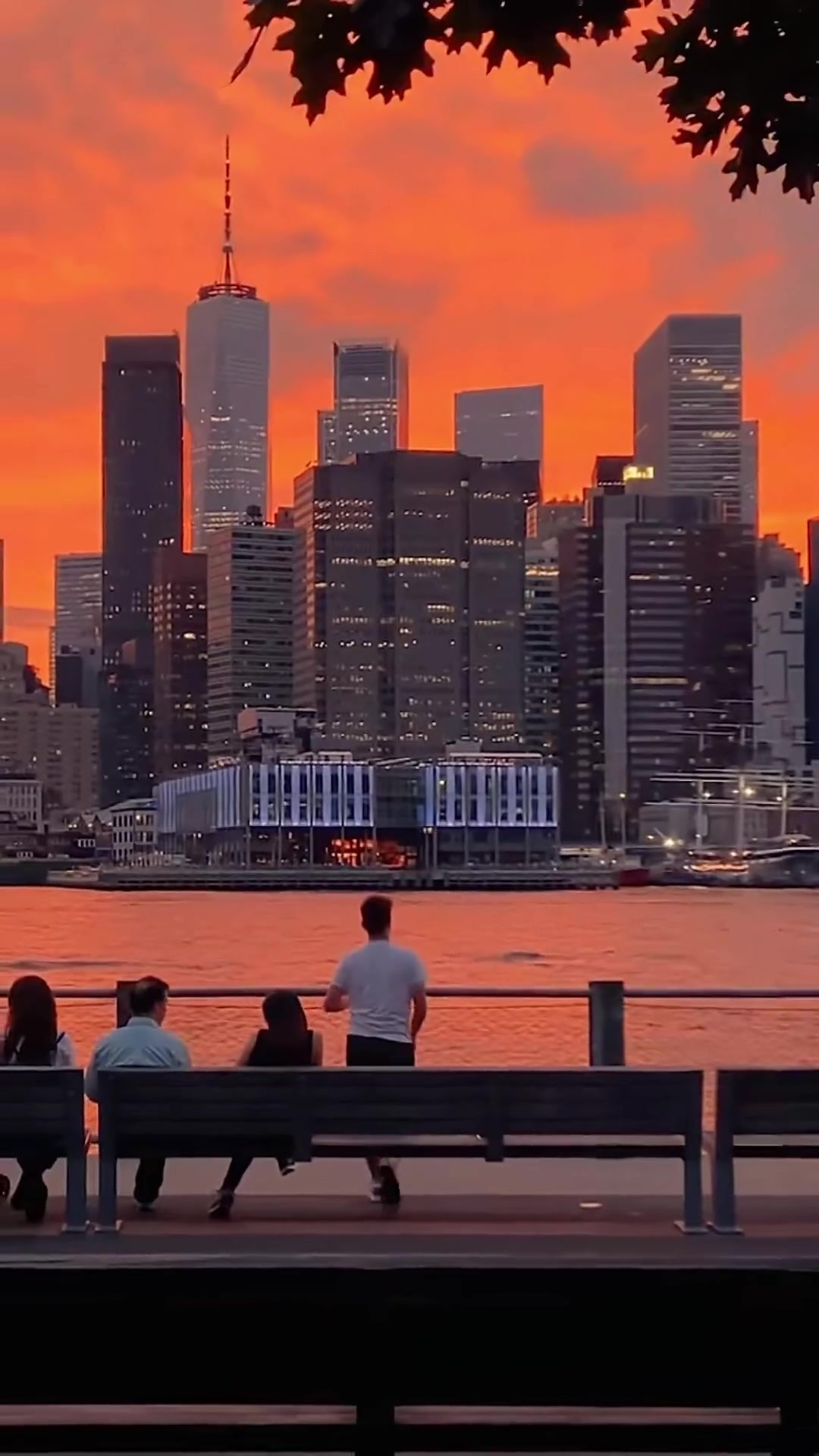 好好感受一下来自"自由城"的压迫感!纽约 街拍 时代广场-度小视