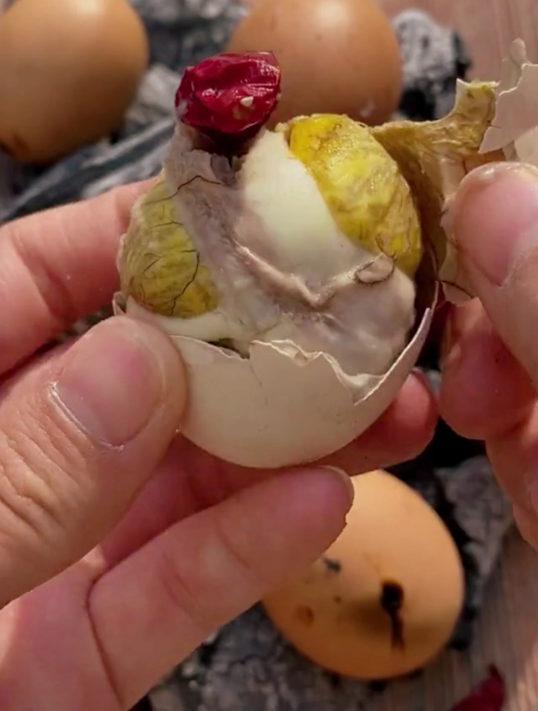 真的有不喜欢吃活珠子的吗?我一次可以吃20个