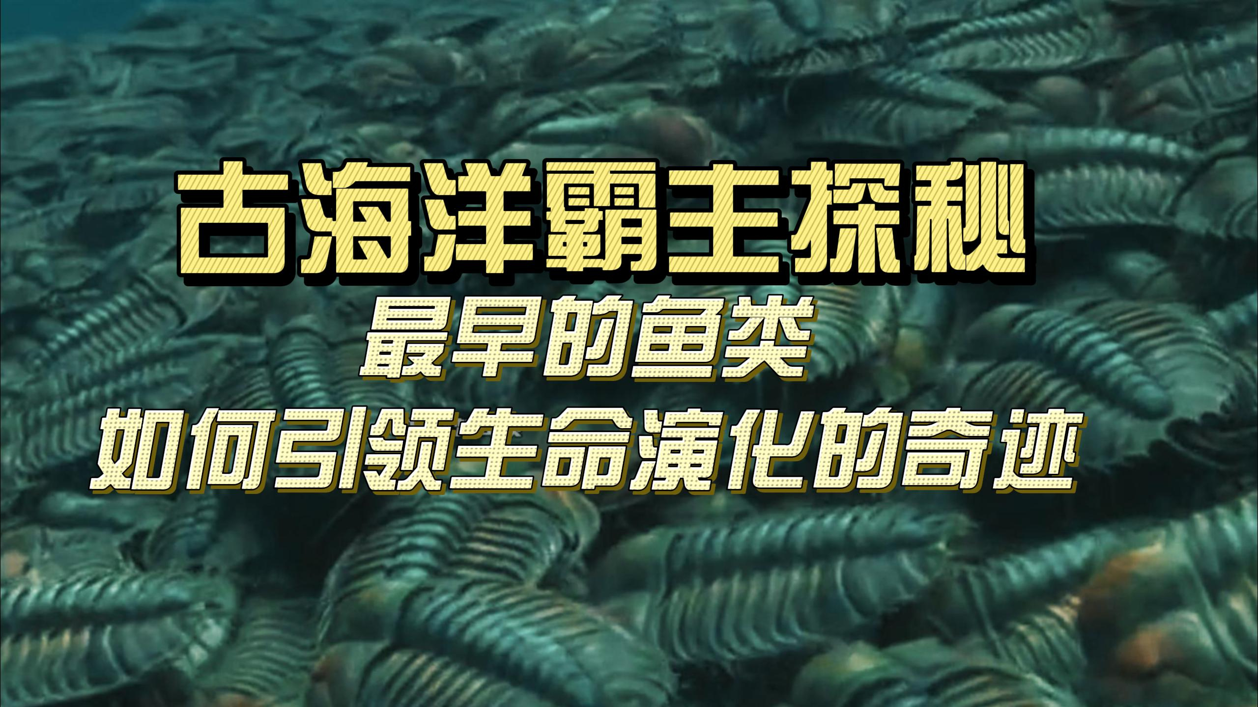 古海洋霸主探秘,最早鱼类如何引领生命演化的奇迹,三叶虫时代!