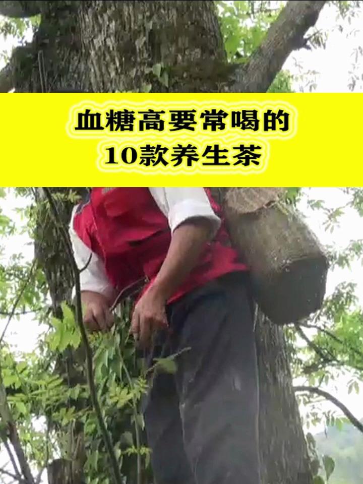 血糖高常喝的10款茶,可以试一试!