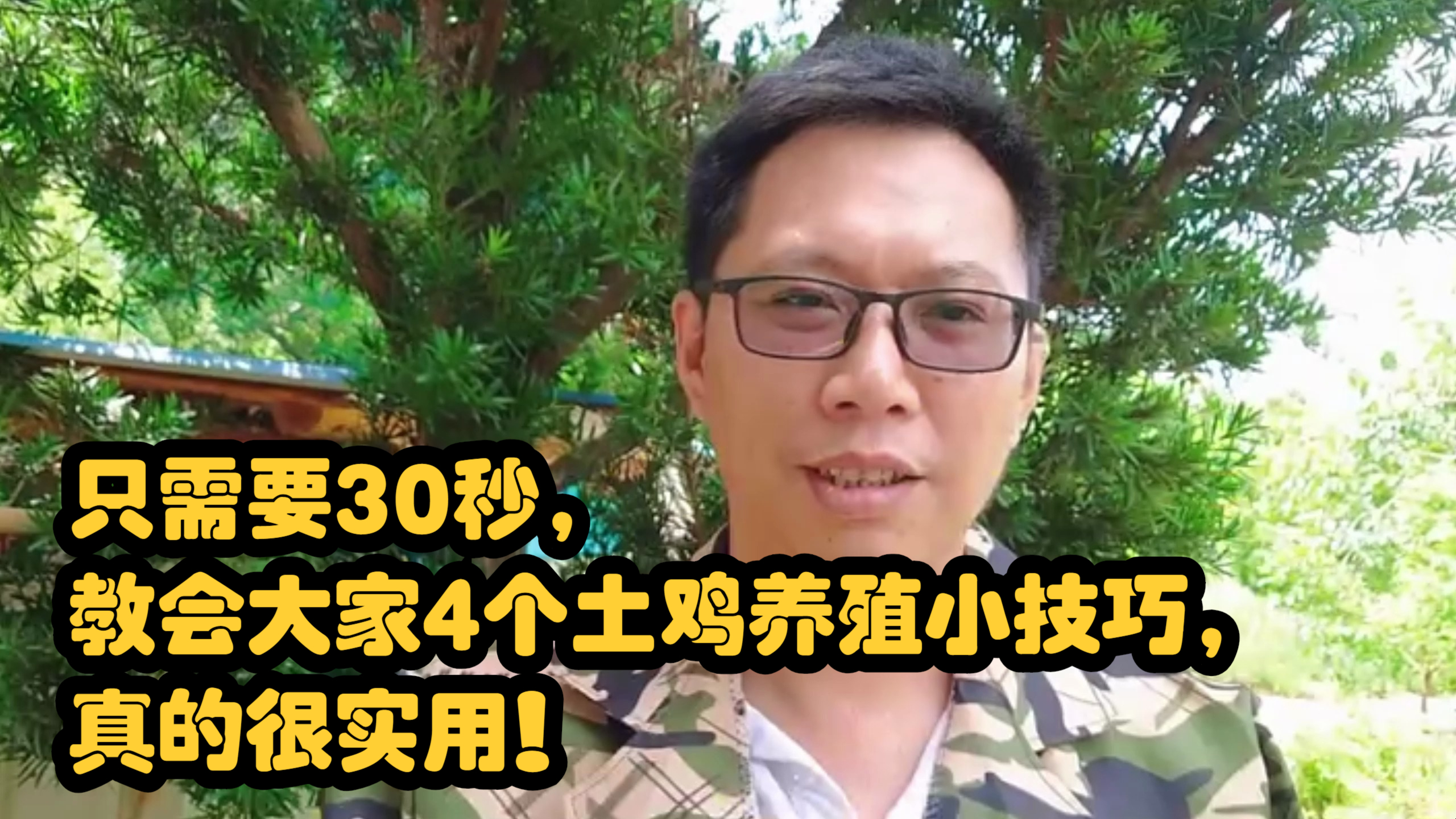 只需要30秒,教会大家4个土鸡养殖小技巧,真的很实用!