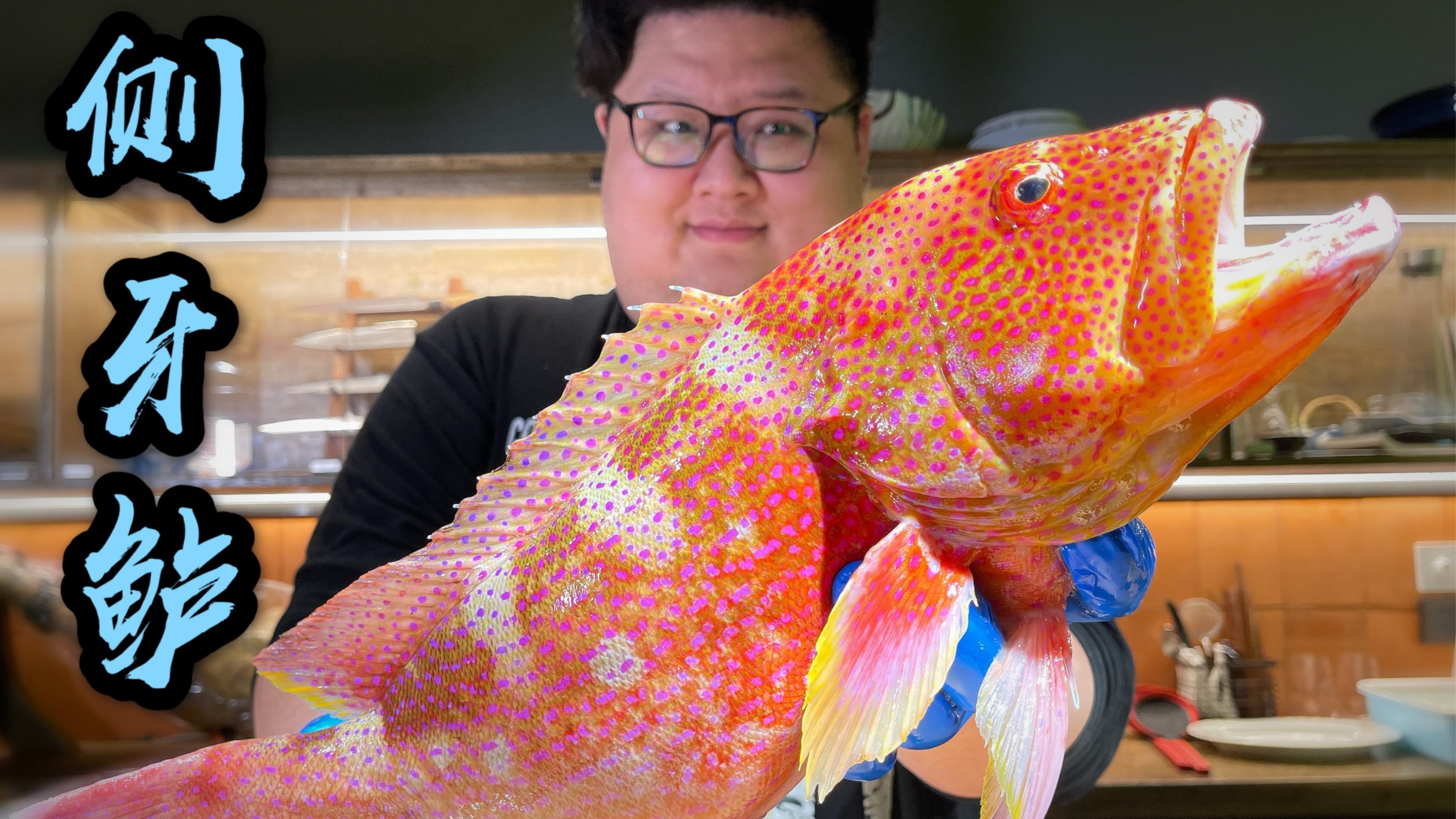 石斑鱼中的皇后,吃第一口下去以后我……- 侧牙鲈4K导出