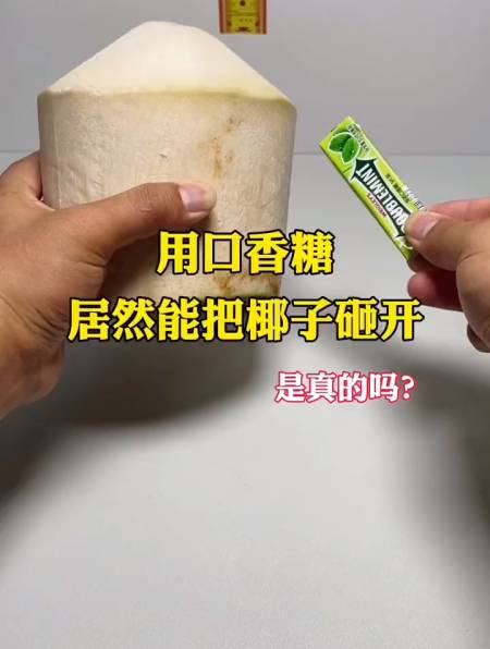 用口香糖,居然能把椰子砸开,这是真的吗?-度小视