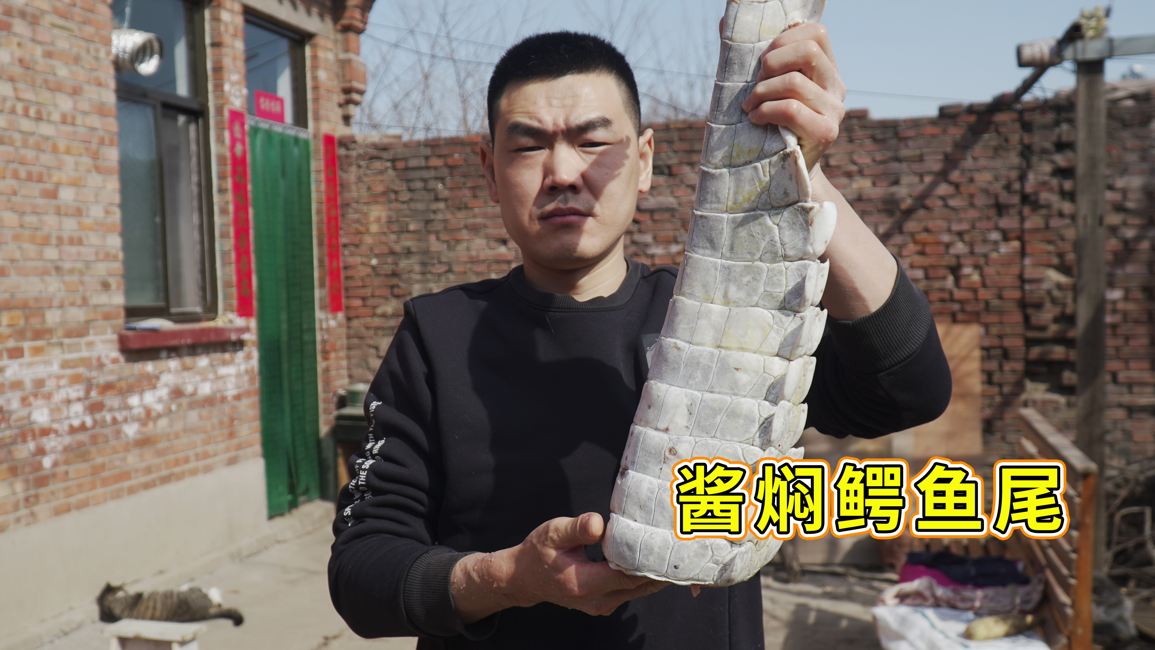 450买条人工养殖“鳄鱼尾”，阿远做“酱焖鳄鱼尾”，小日子舒坦