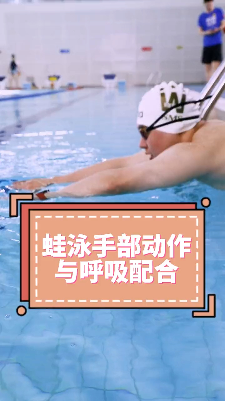 蛙泳手部动作与呼吸配合你学会了吗小白快点赞收藏