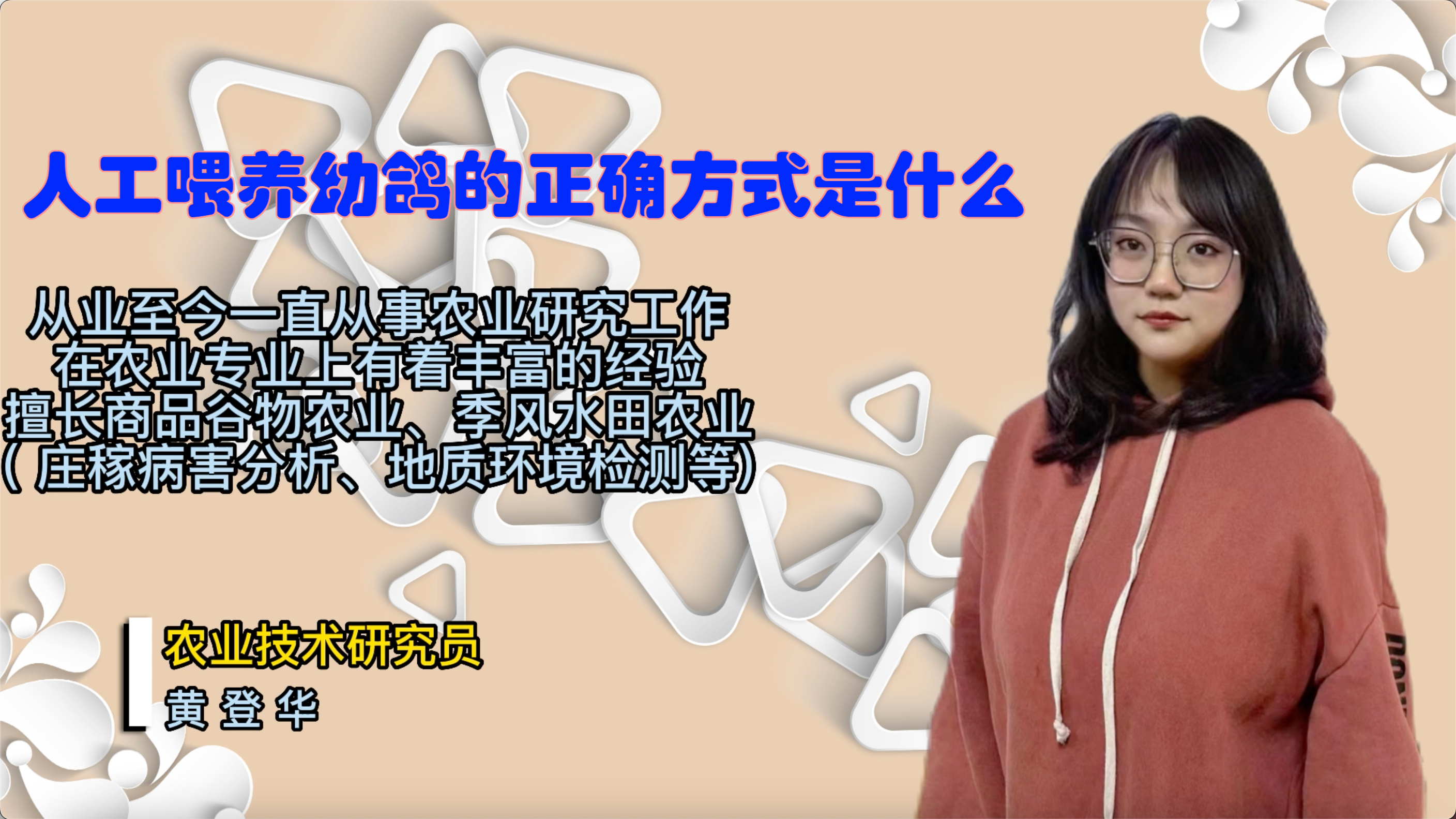 人工喂养幼鸽的正确方法是什么?