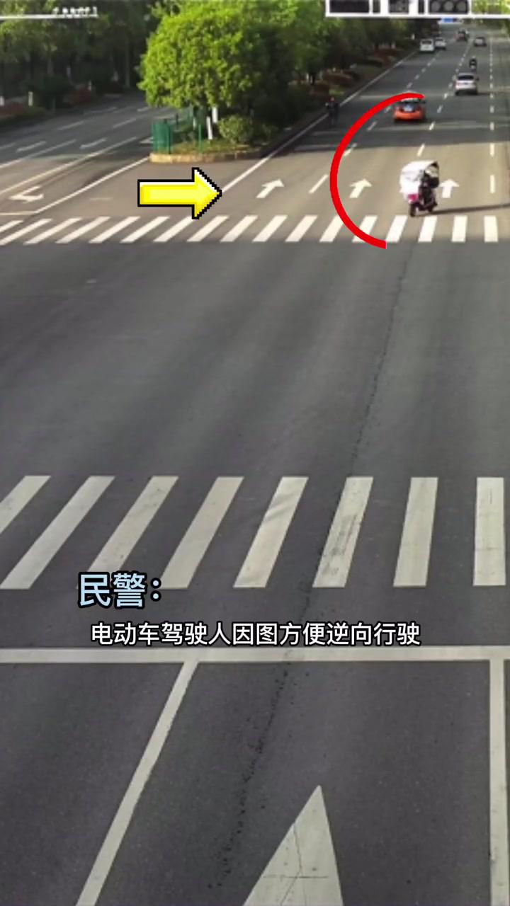 电动车逆行被撞受伤又担责遵守交通规则交通安全dou行动电动车公安部