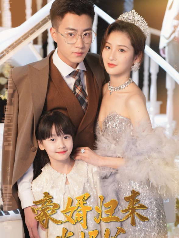 豪婿归来当奶爸