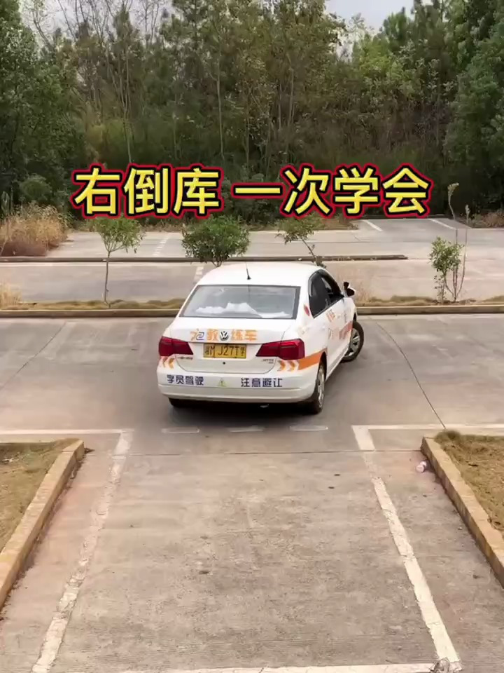 倒库第二次右打死图解图片