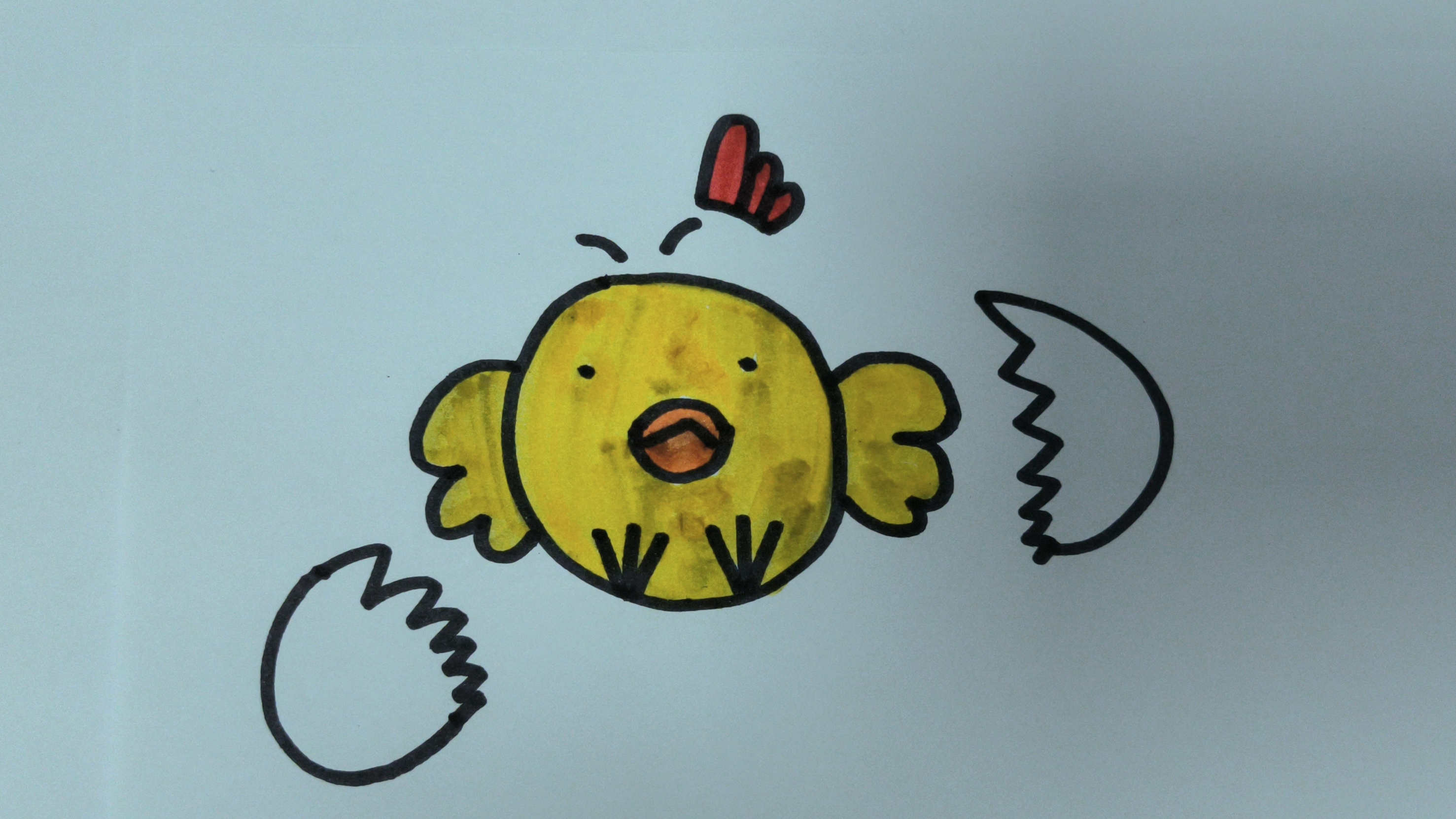 今天我们来学习小鸡的简笔画,你学会了吗