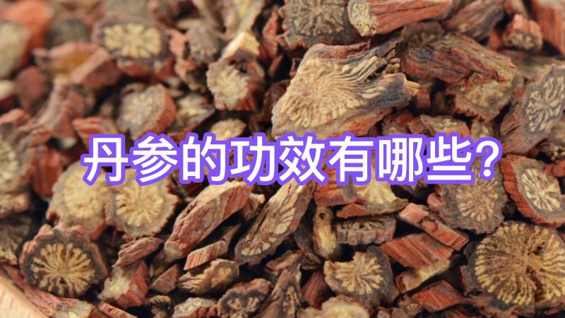 丹参的功效有哪些?,健康养生,中医药,好看视频