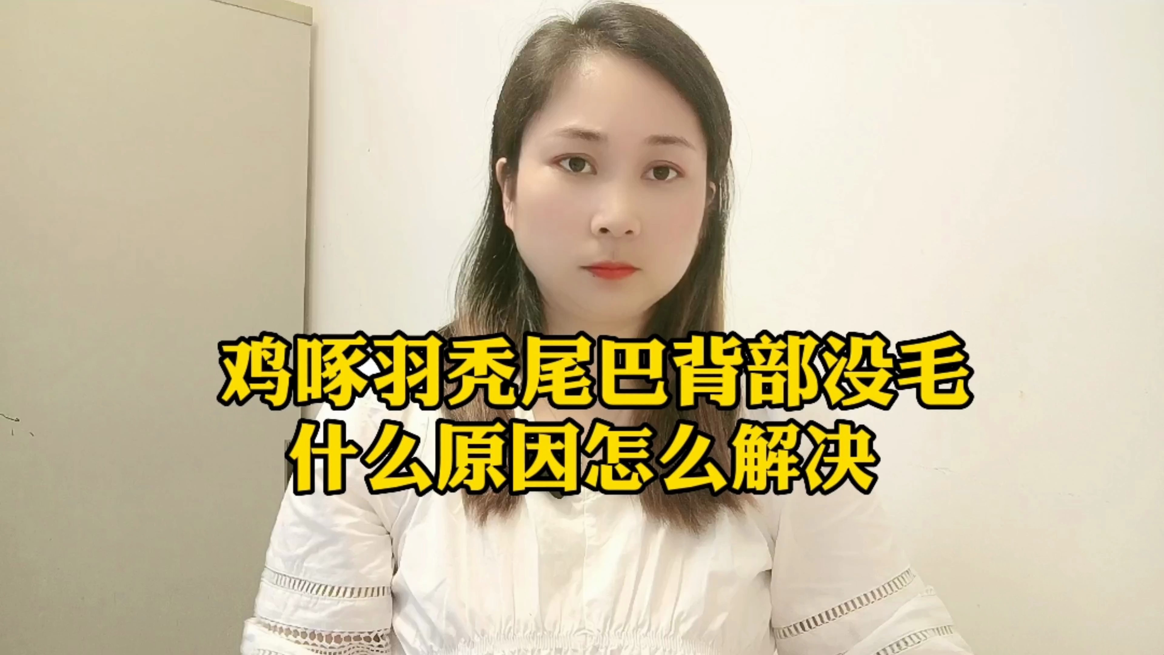 鸡啄羽毛秃尾巴背部没毛很常见,什么原因怎么解决?赶紧速来了解