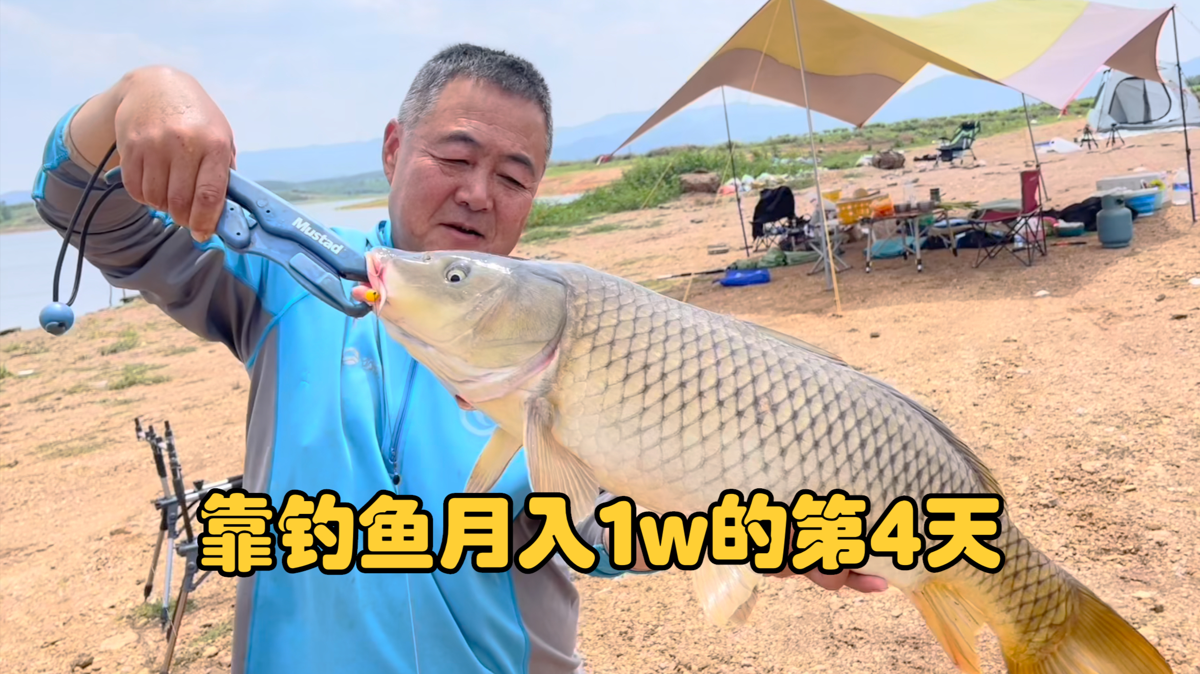 挑战钓鱼月入10000第4天,更换钓点下竿即中,这的鲤鱼是真大啊