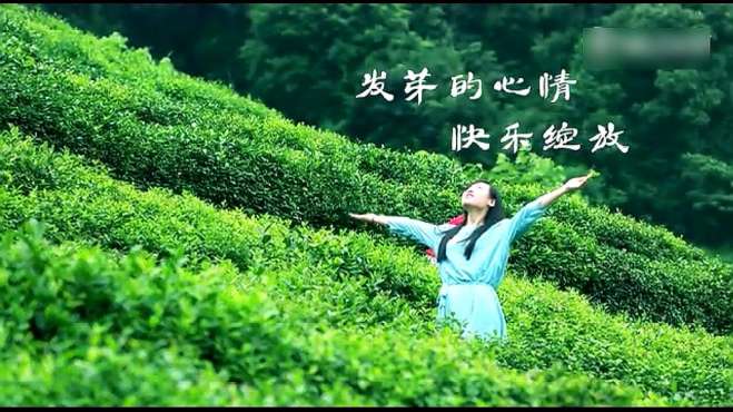 [图]茶乡民歌《茶乡茶香》，好听