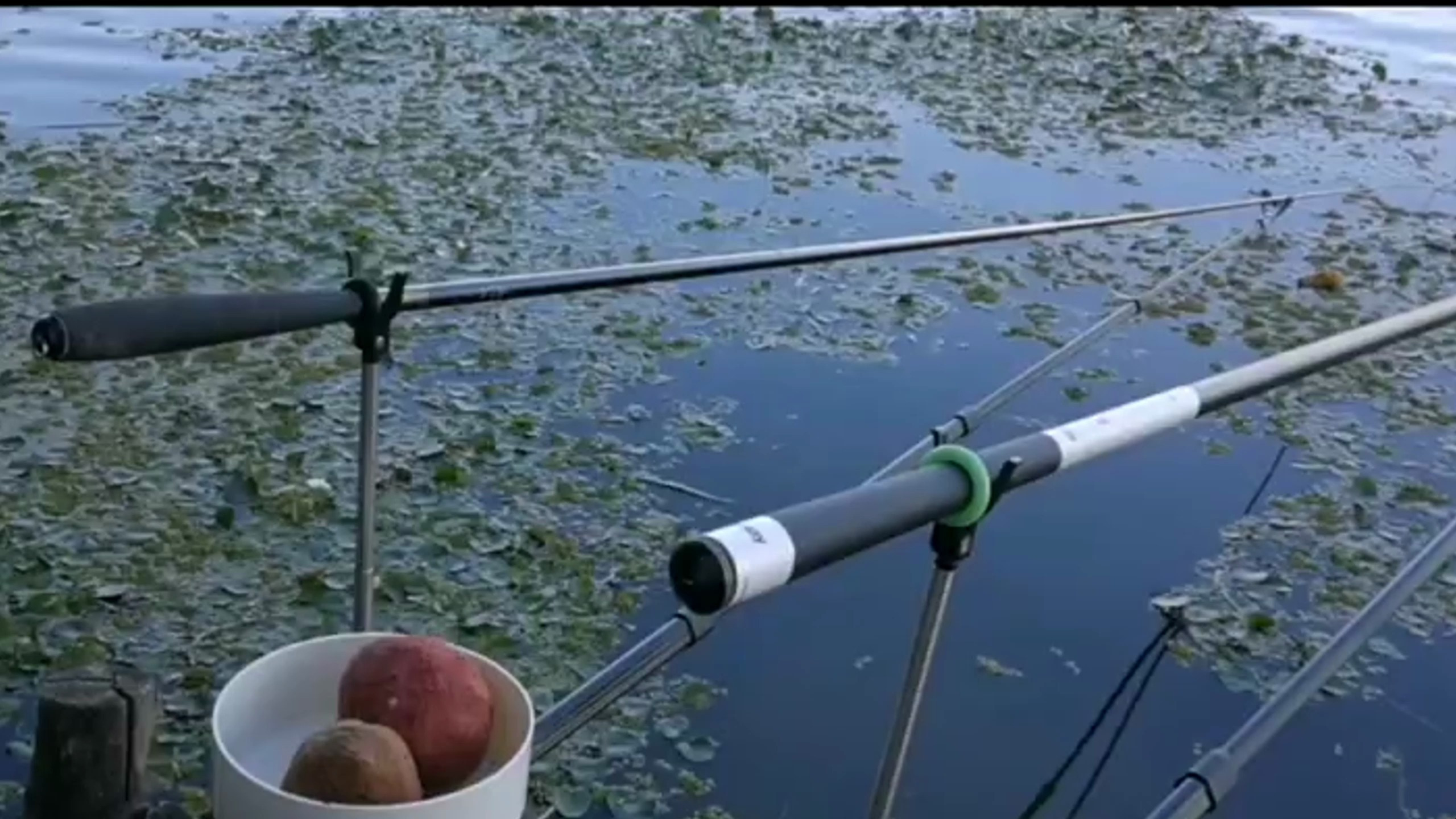 钓鱼新手如何选,渔具鱼竿和浮漂的分析