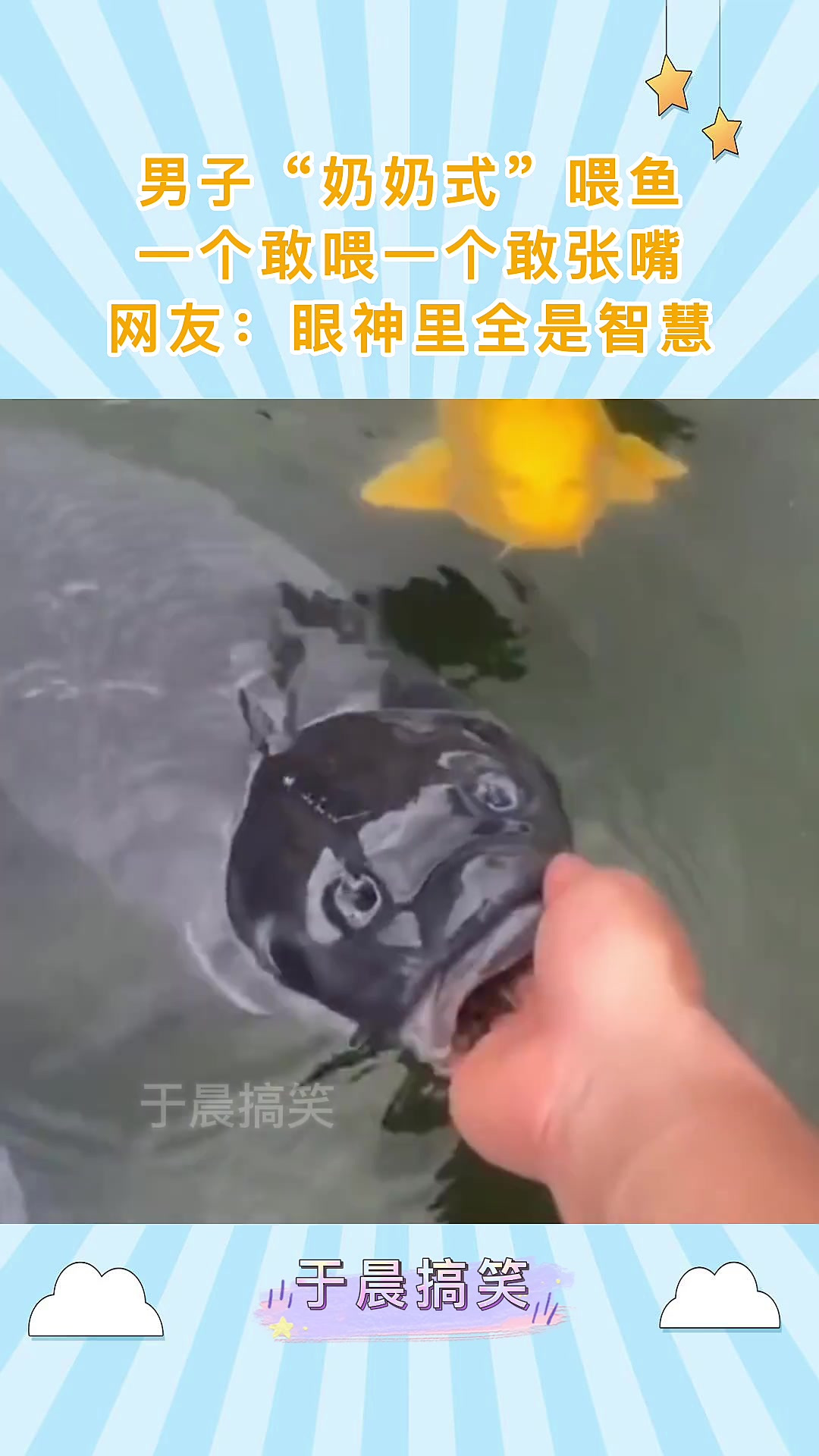 男子"奶奶式"喂鱼,一个敢喂一个敢张嘴,网友:眼神全是智慧!