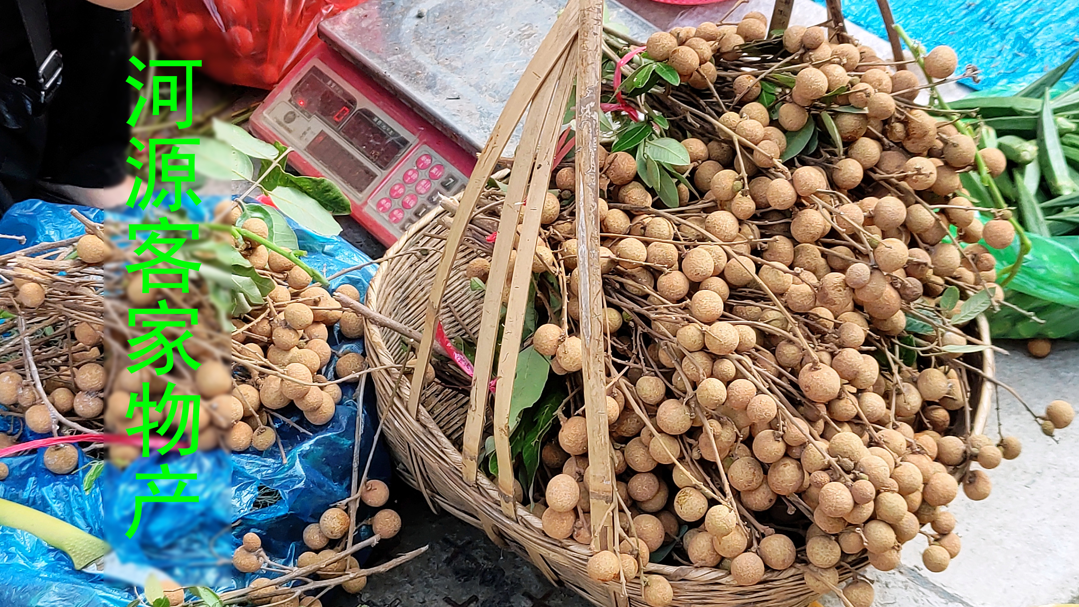 河源东源市场,本地新鲜物产:瓜菜香料青草
