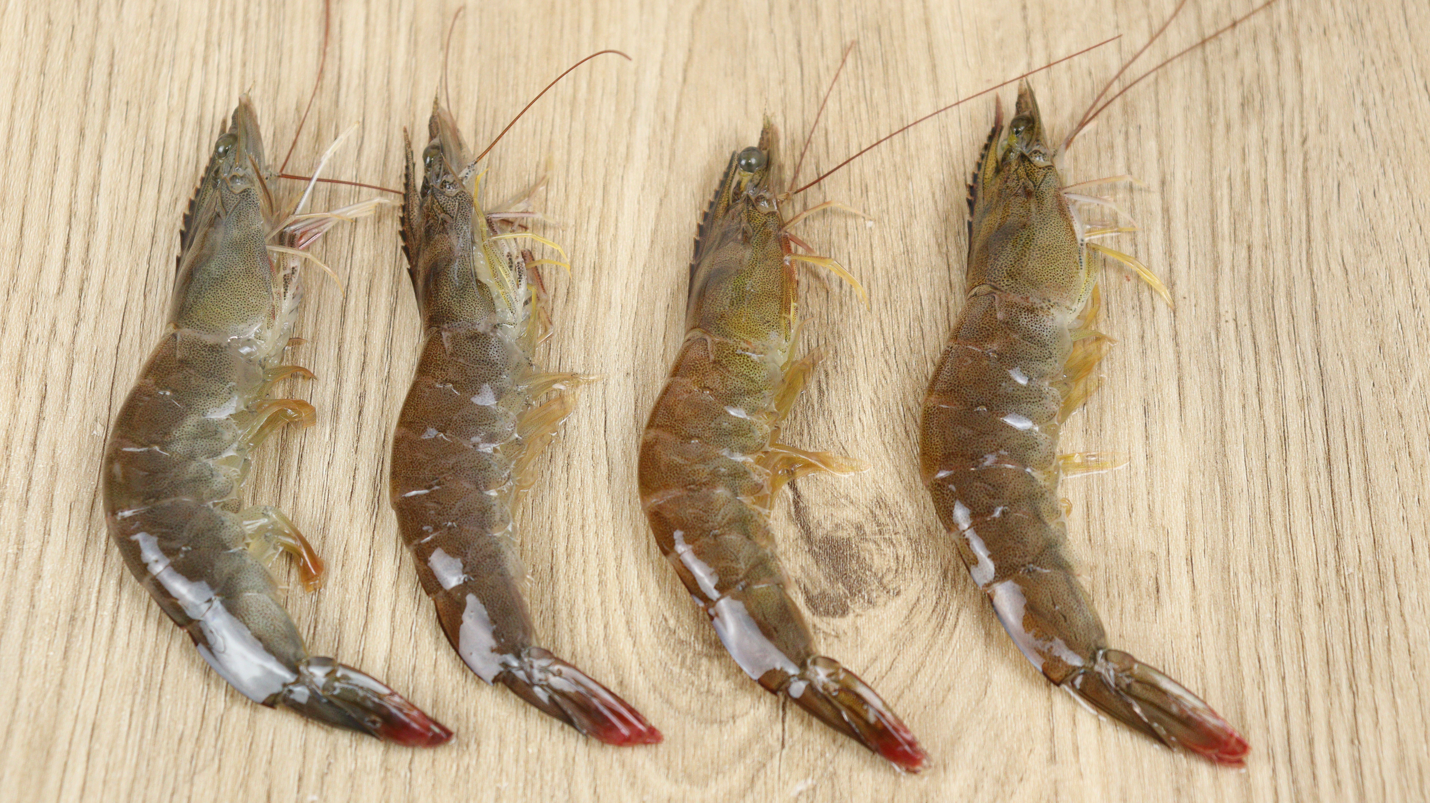 才了解,虾身上的这4个器官有大量寄生虫,多亏海鲜店老板提醒我