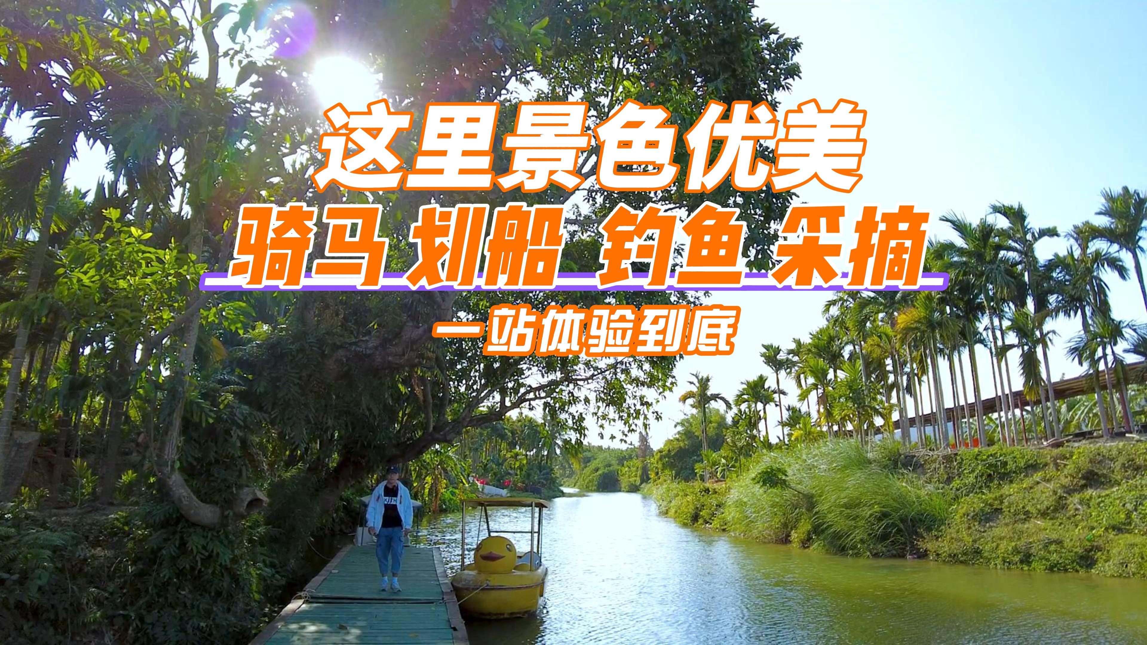 三亚红花共享农庄,钓鱼18元一斤,采摘3个火龙果48元价格不便宜