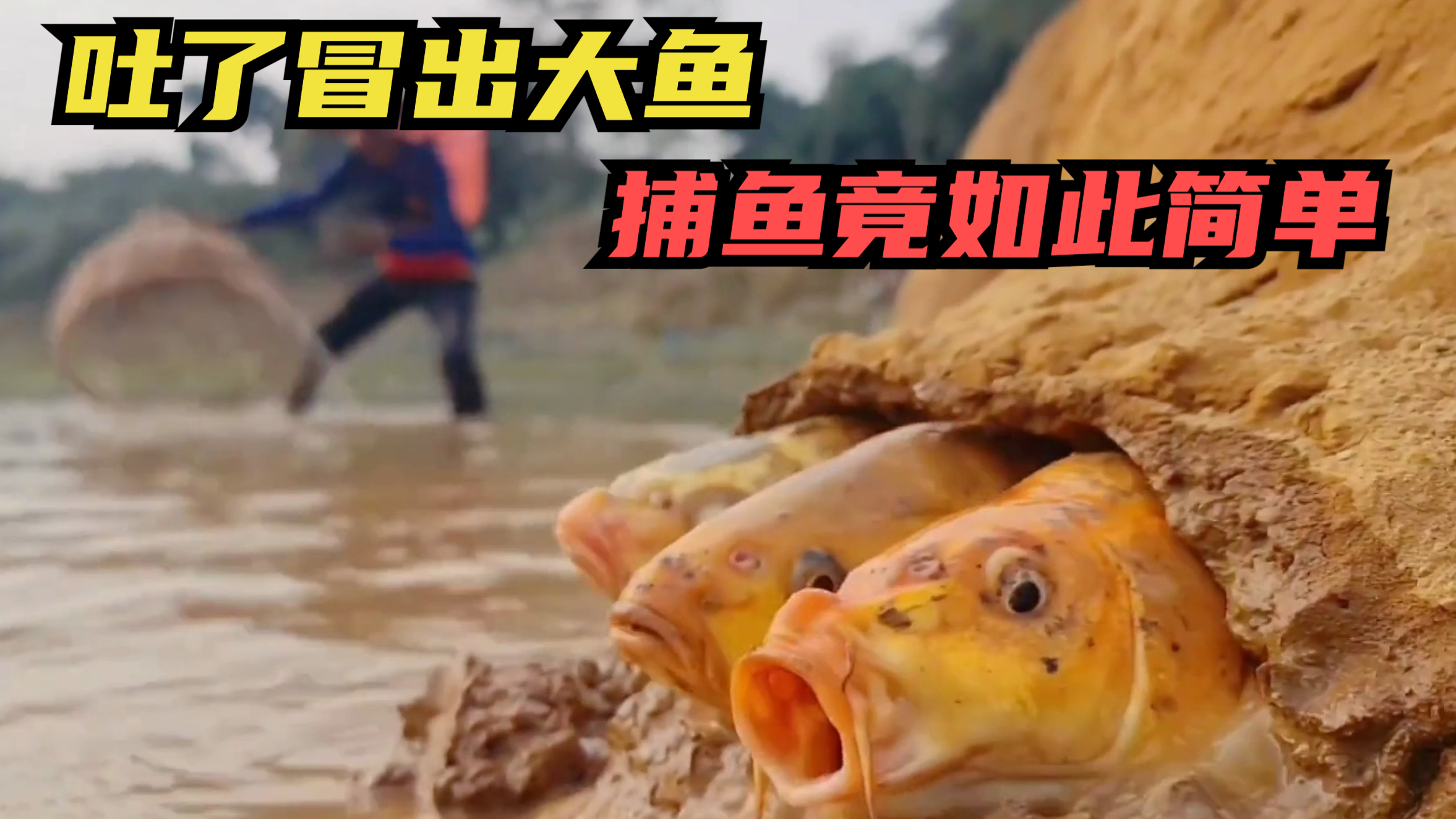河边泥土里竟然冒出三条金鱼,小伙迟迟还没看到?金鱼会被发现吗