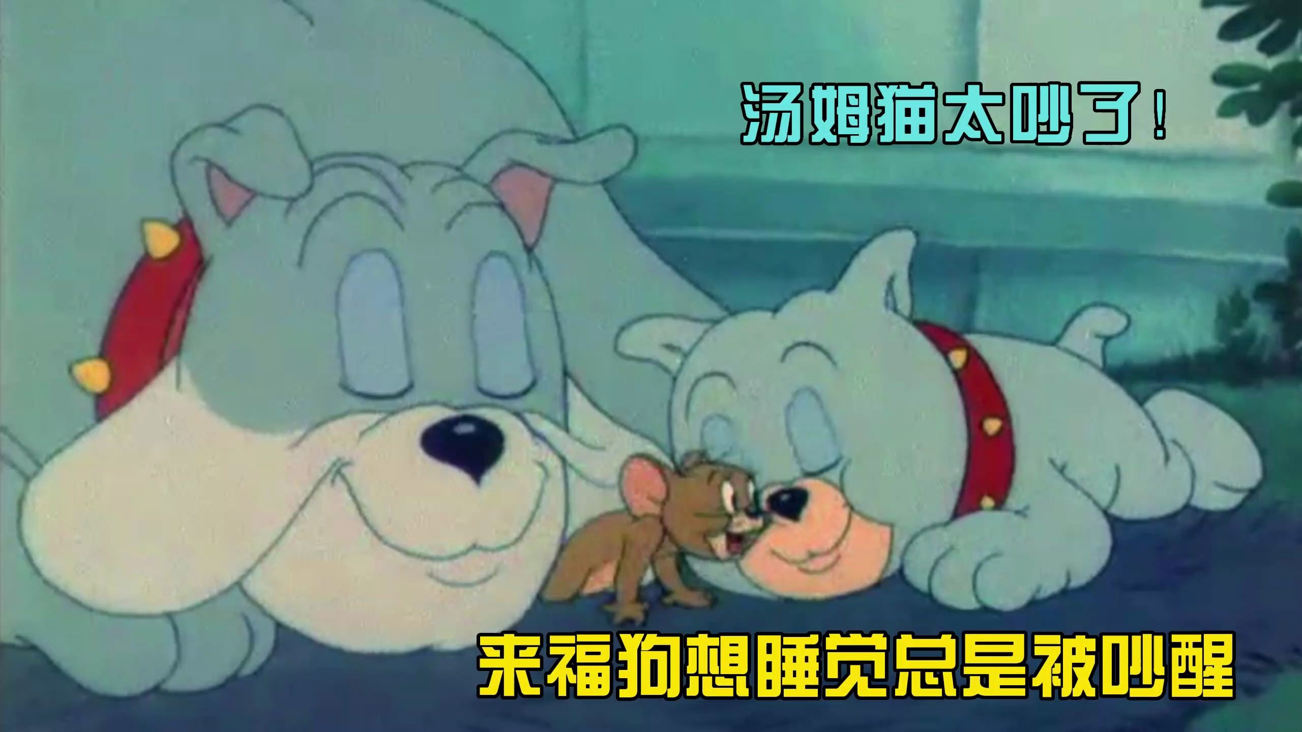 猫和老鼠:汤姆猫太吵了!来福狗想睡觉但总是被吵醒!