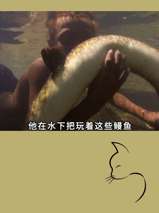鳗鱼竟然被当宠物养,动物漂流到海洋