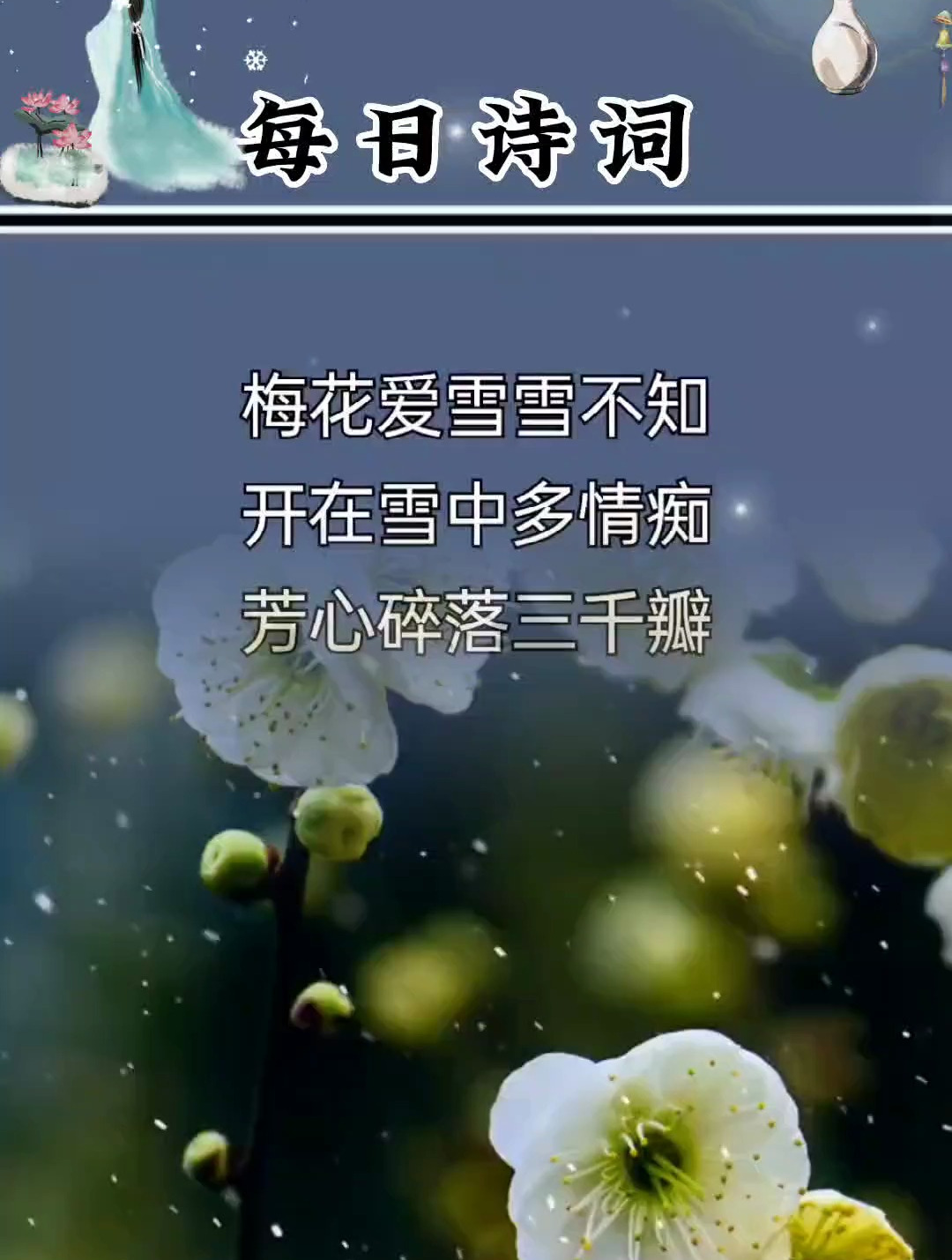 梅花爱雪雪不知,开在雪中多情痴