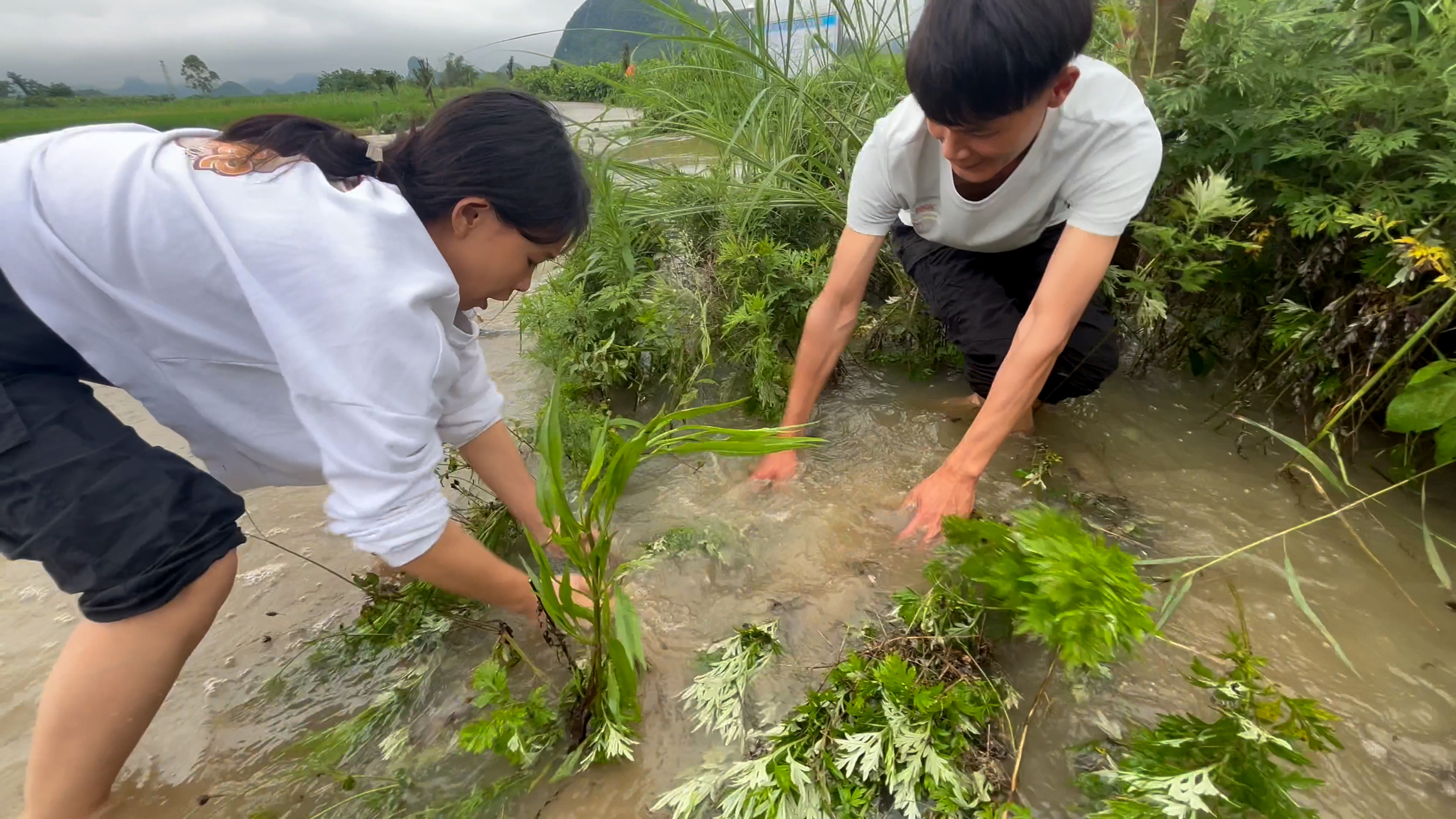 大型水库开闸泄洪,好多鱼在大坝抢水,美女直接徒手抓,太过瘾了