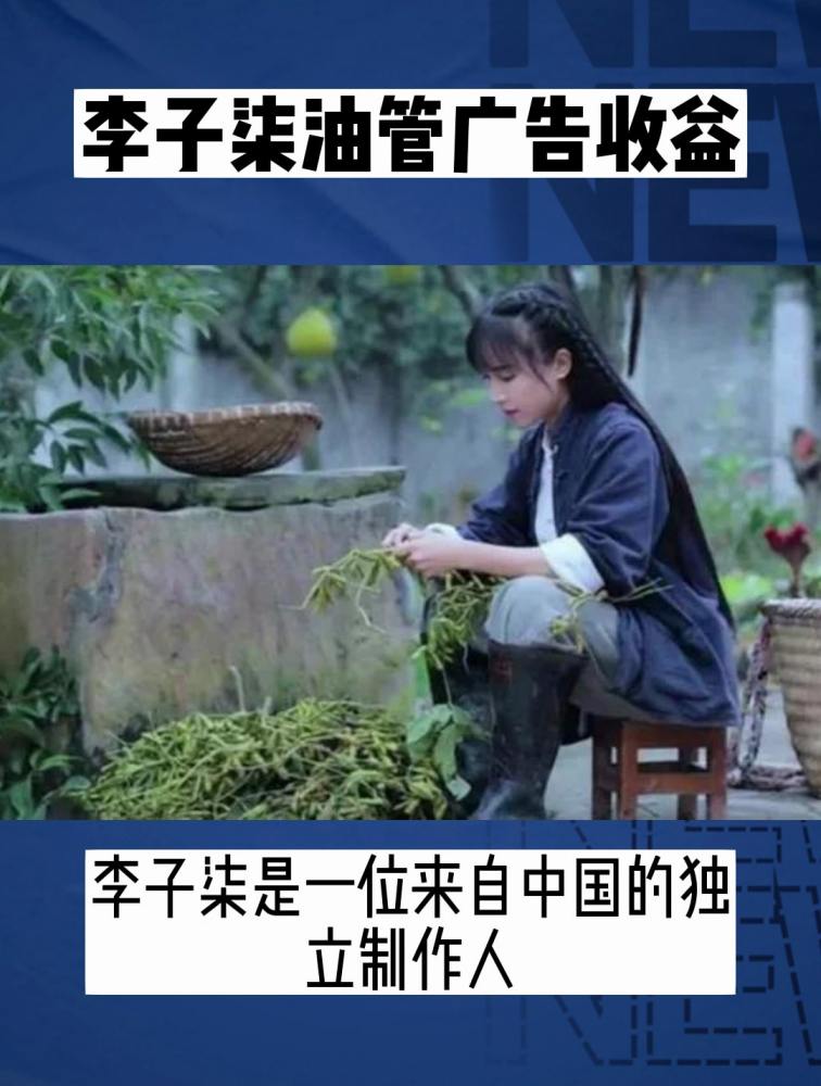 李子柒油管广告收益