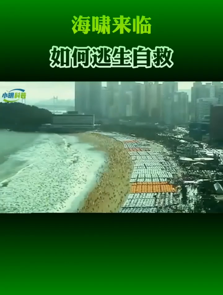 当海啸来临时,应当如何逃生自救呢?-度小视