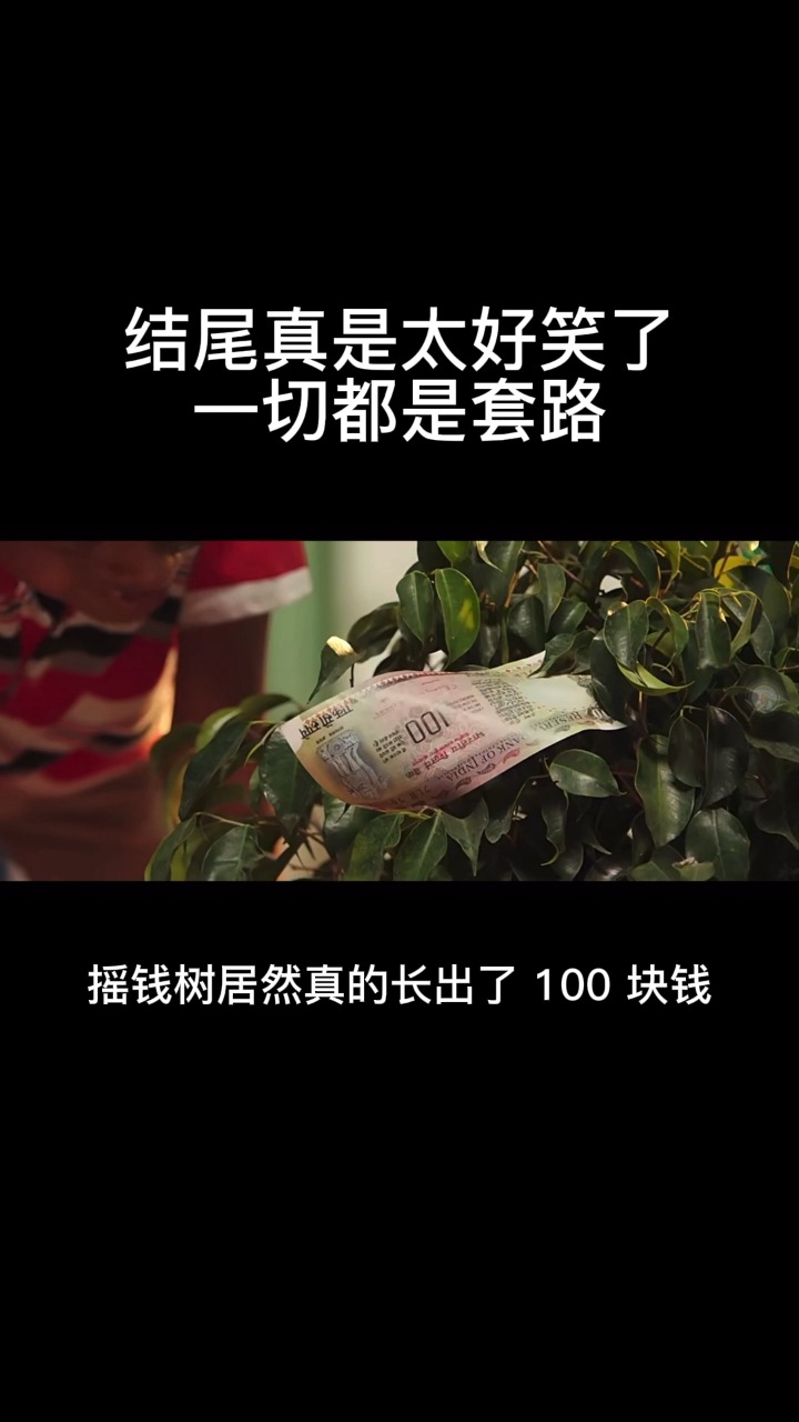 熊孩子种摇钱树,居然只是为了套路父亲,结尾太好笑了