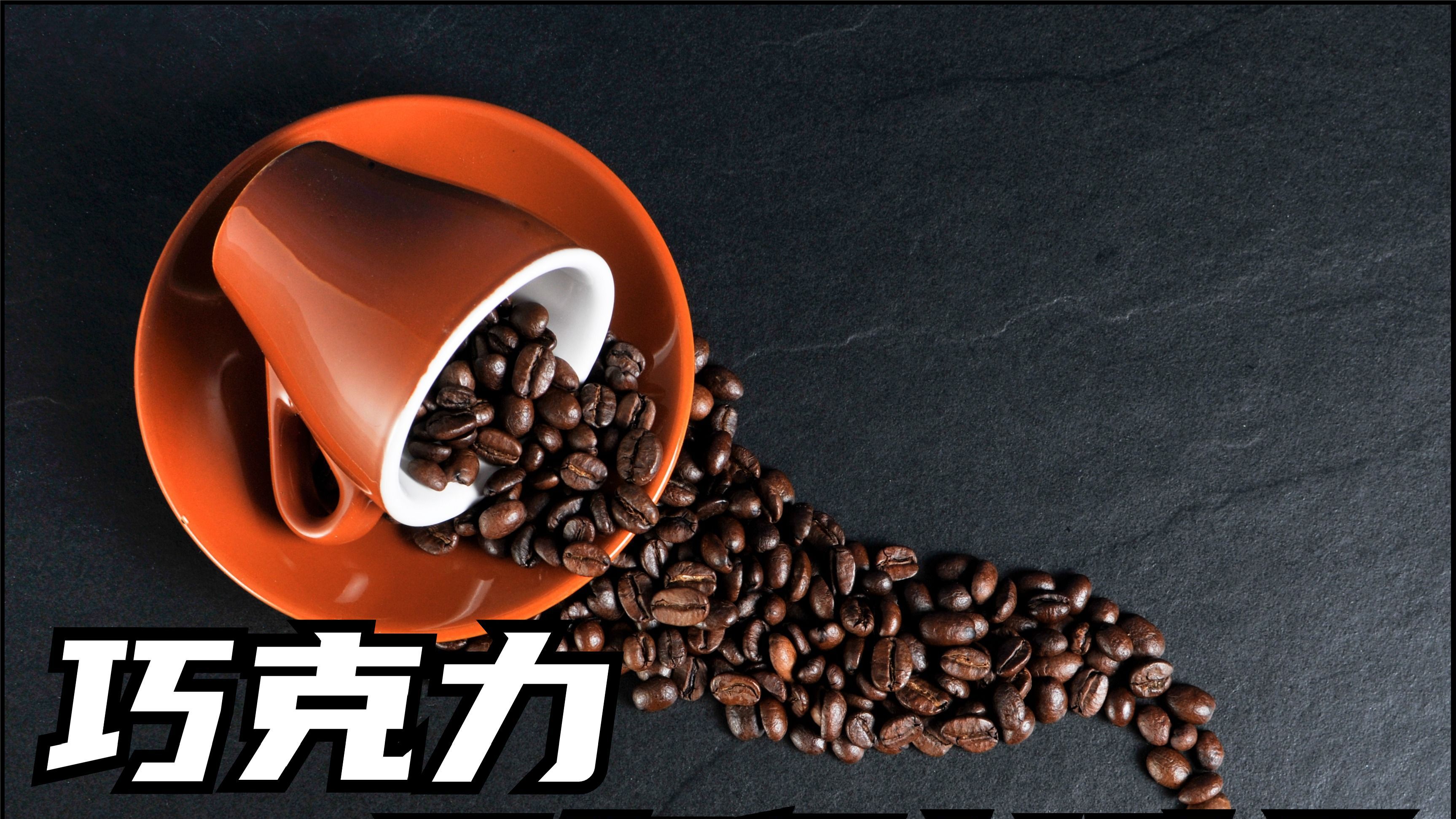 探访巧克力工厂,原来可可豆的果实长这样,简直亮瞎了我的钛金眼