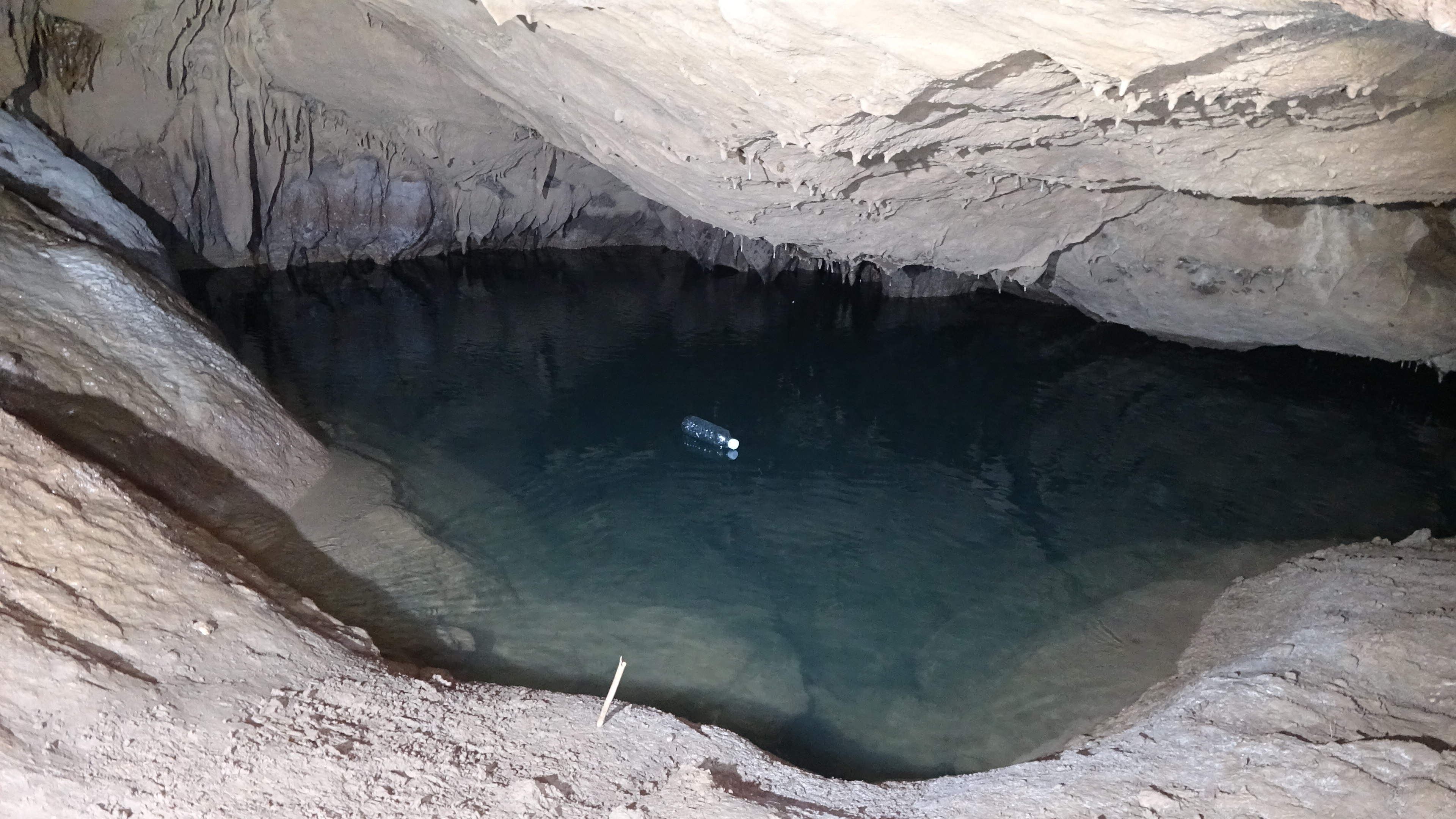 用瓶子山泉洞钓鱼,11个瓶子收获6条,不愧自动钓鱼神器,厉害了