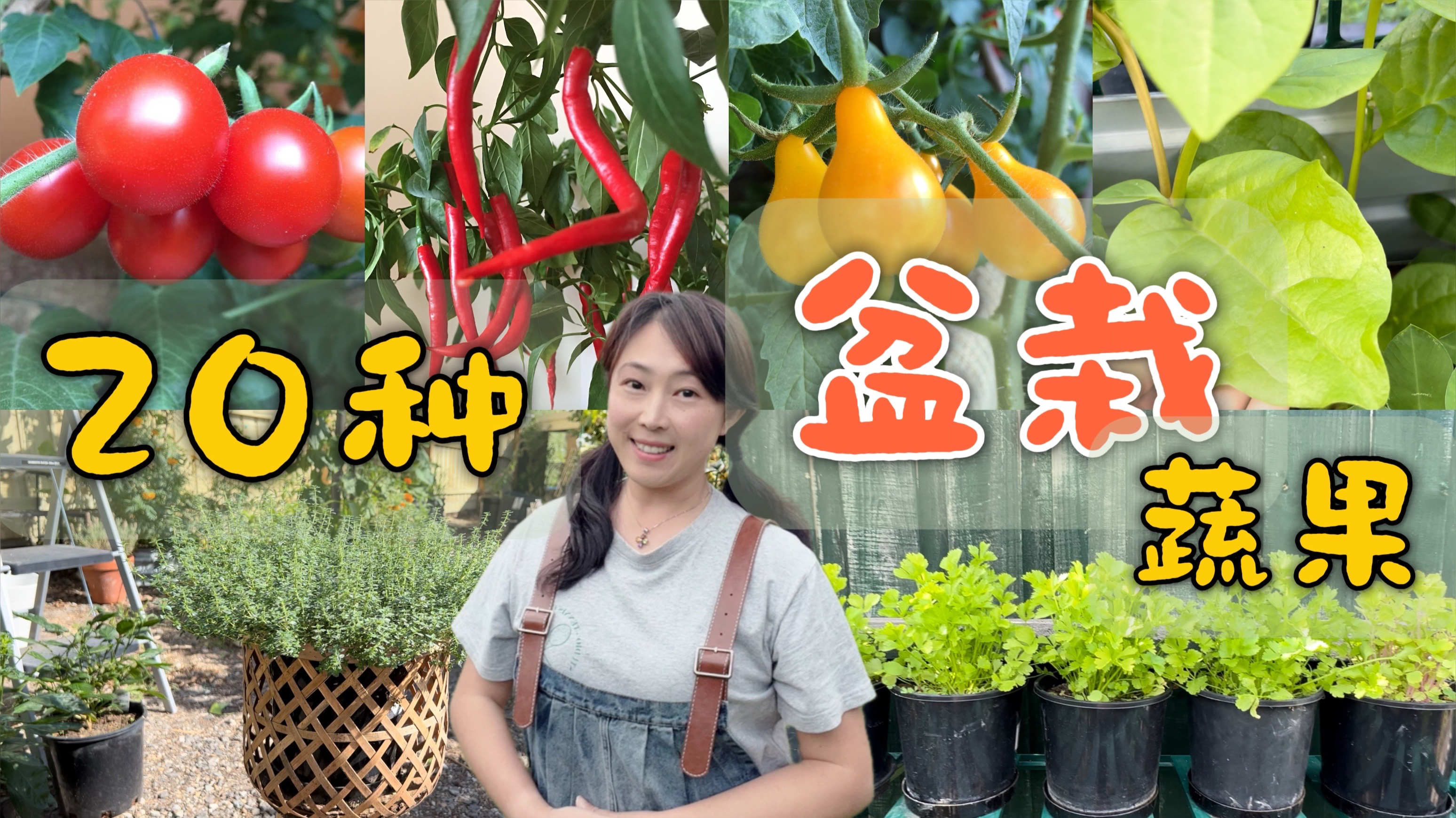 不需要院子,这20种蔬果,花盆里也能种
