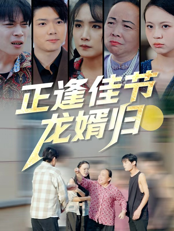 正逢佳节龙婿归