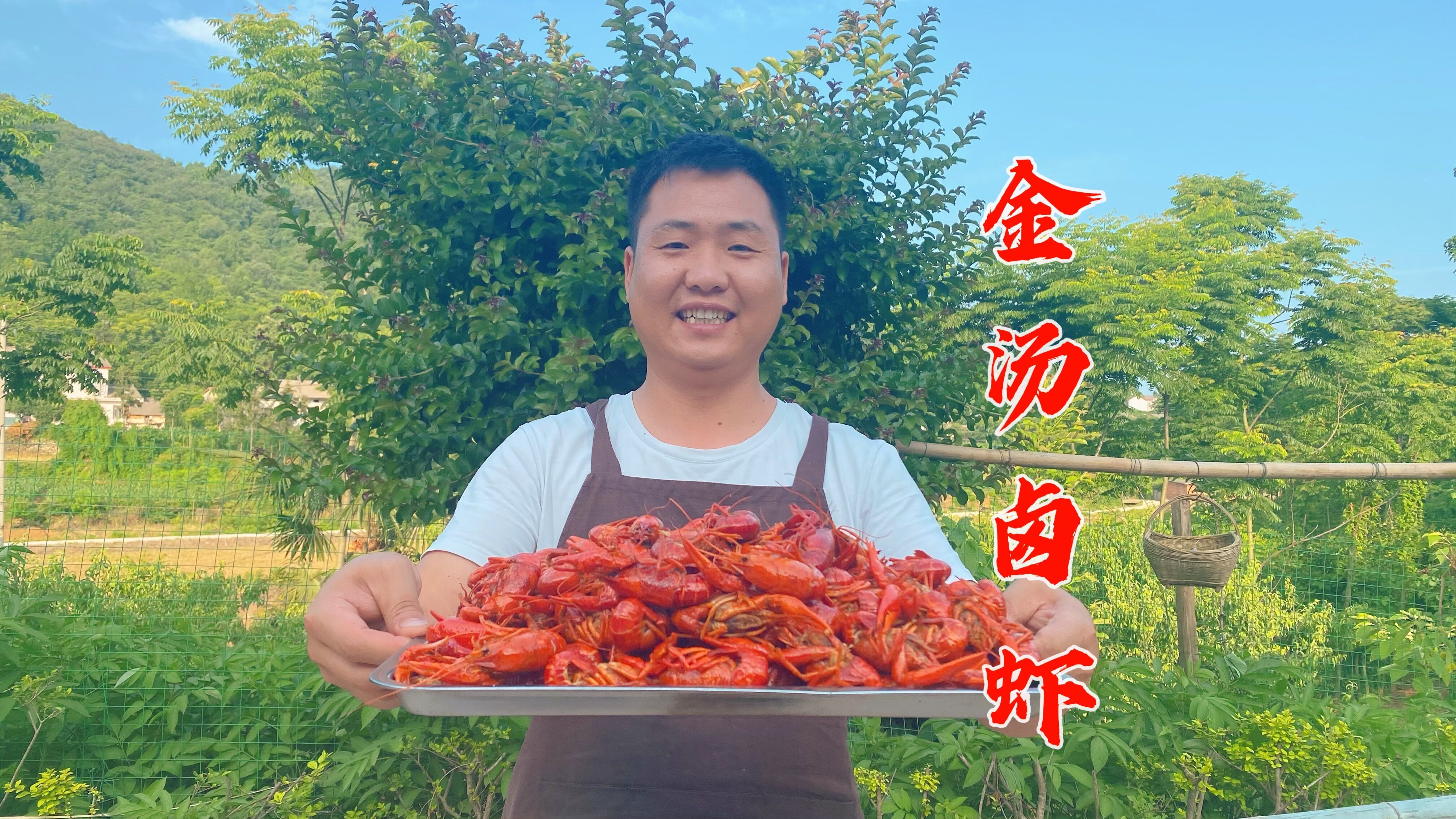 夏天了,水田里捉点稻田虾做“金汤卤虾”,鲜香辣味足,真带劲