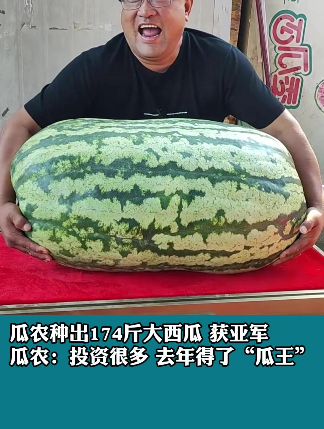 瓜农种出174斤大西瓜 获亚军