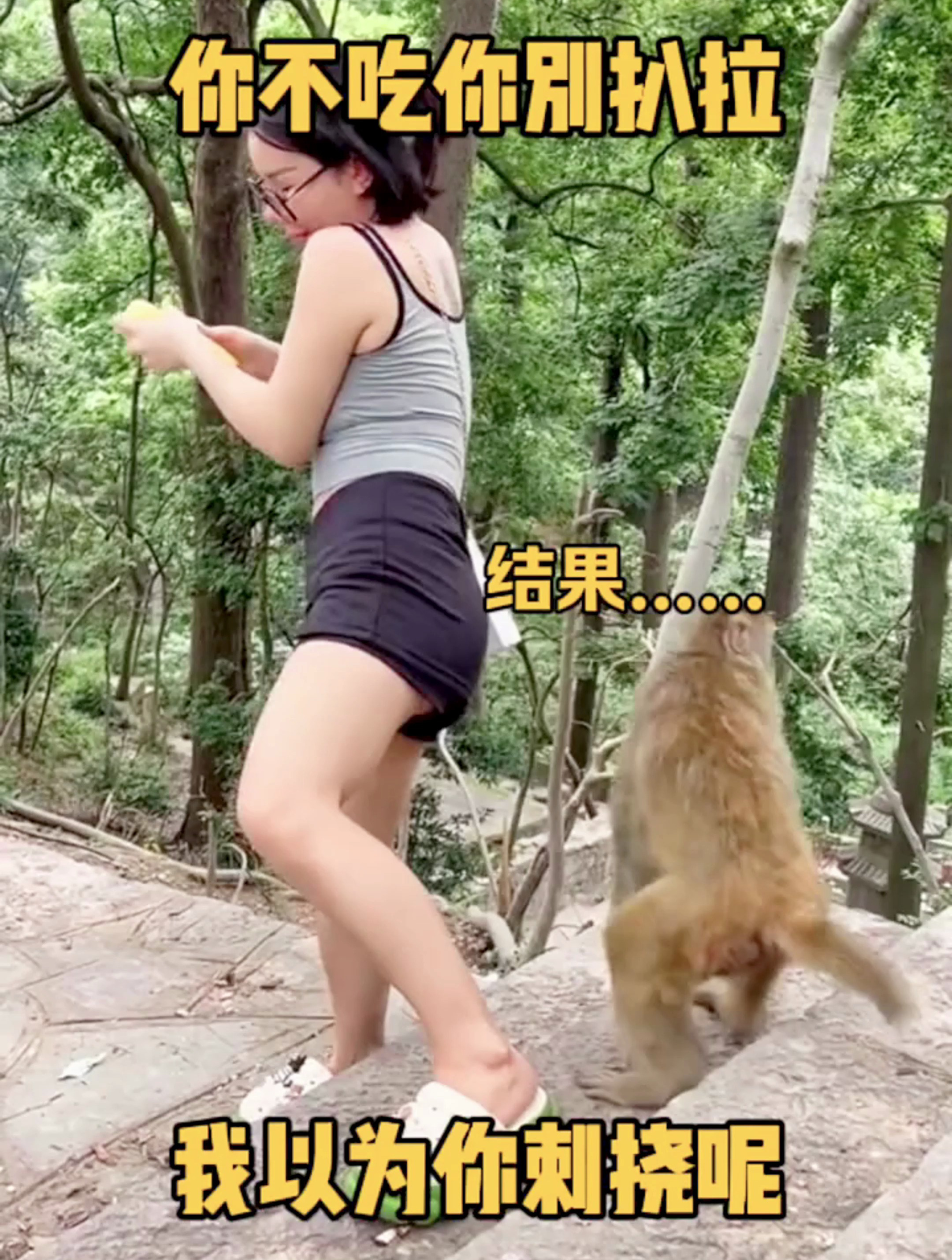 美女去公园散步,被猴子打劫一空,太倒霉了