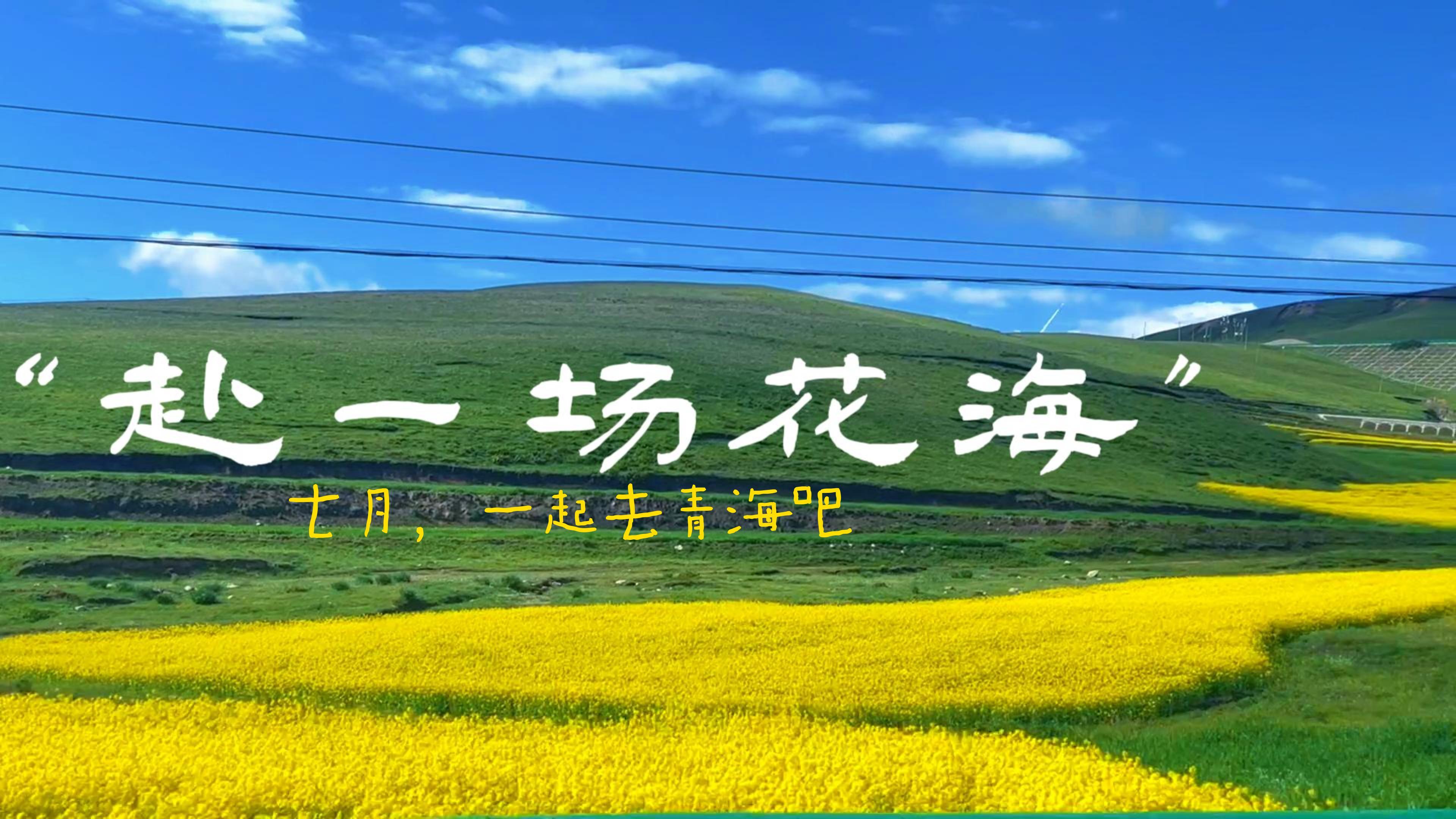 去青海看油菜花,门源非去不可吗?西宁周边藏有一个“秘密”胜地