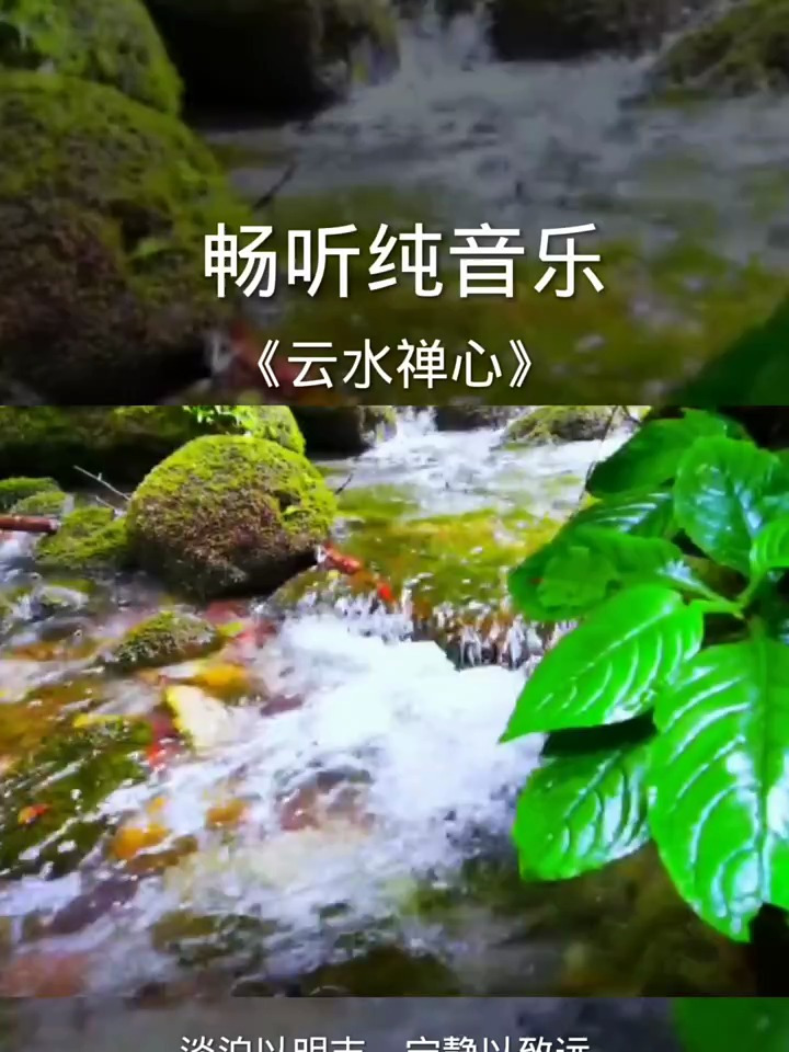 純音樂雲水禪心,靜靜聽一曲禪音,洗滌俗世心靈