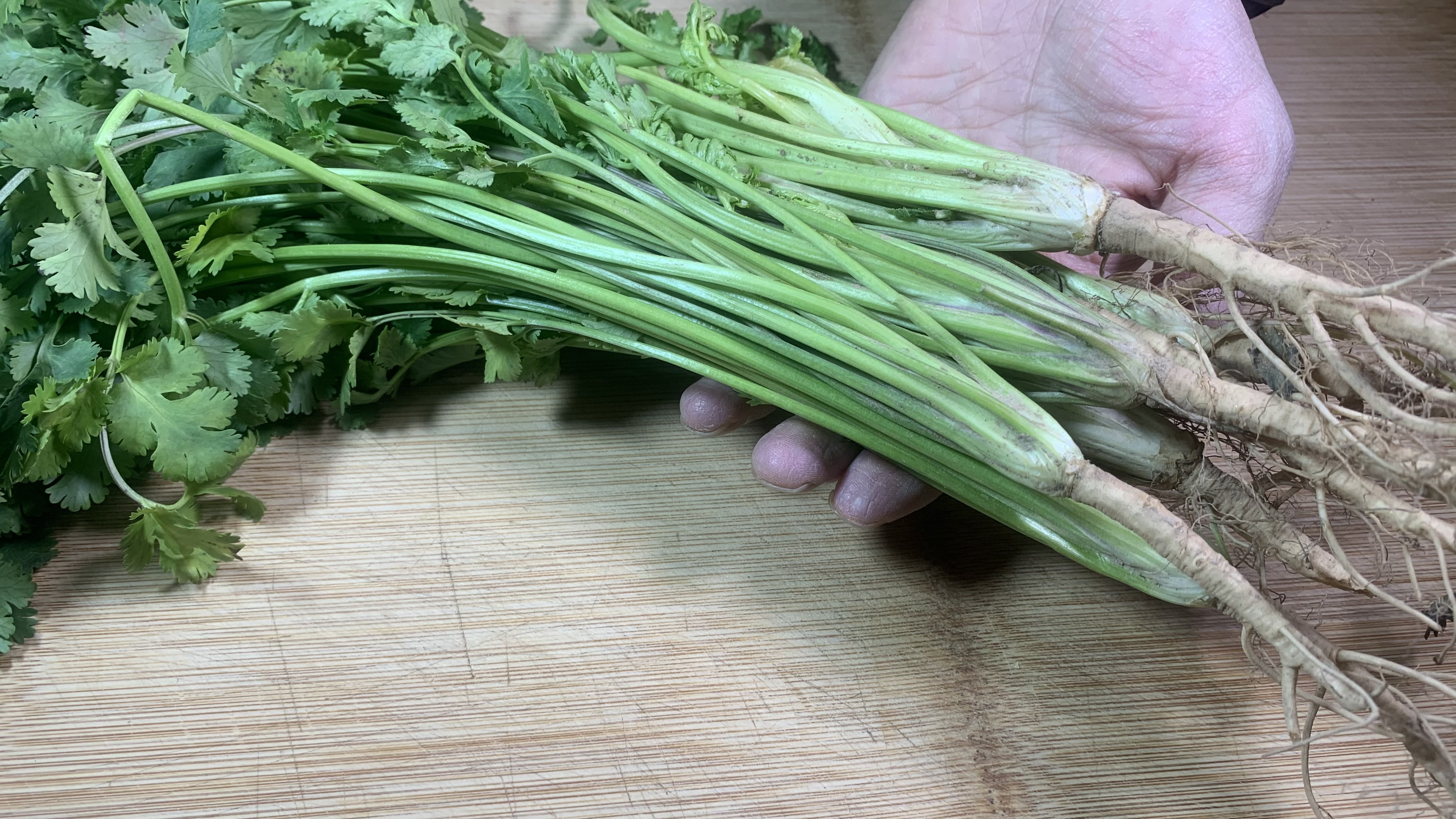 香菜根简单煮一煮,没想到真厉害,解决了很多人的烦恼,亲测有效