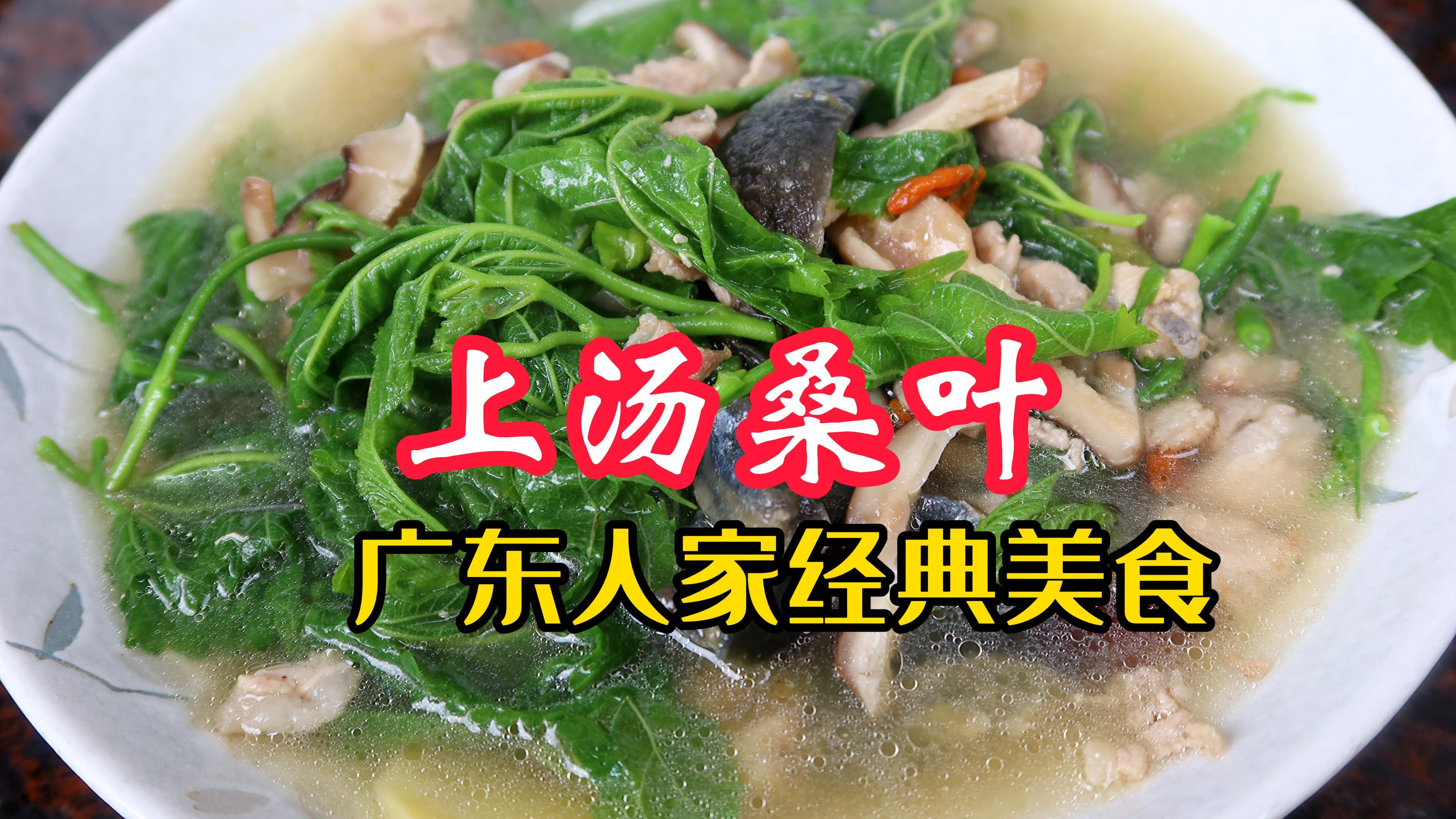 上汤桑叶春芽嫩滑，营养丰富，广东人家巧手变佳肴，清肺润燥