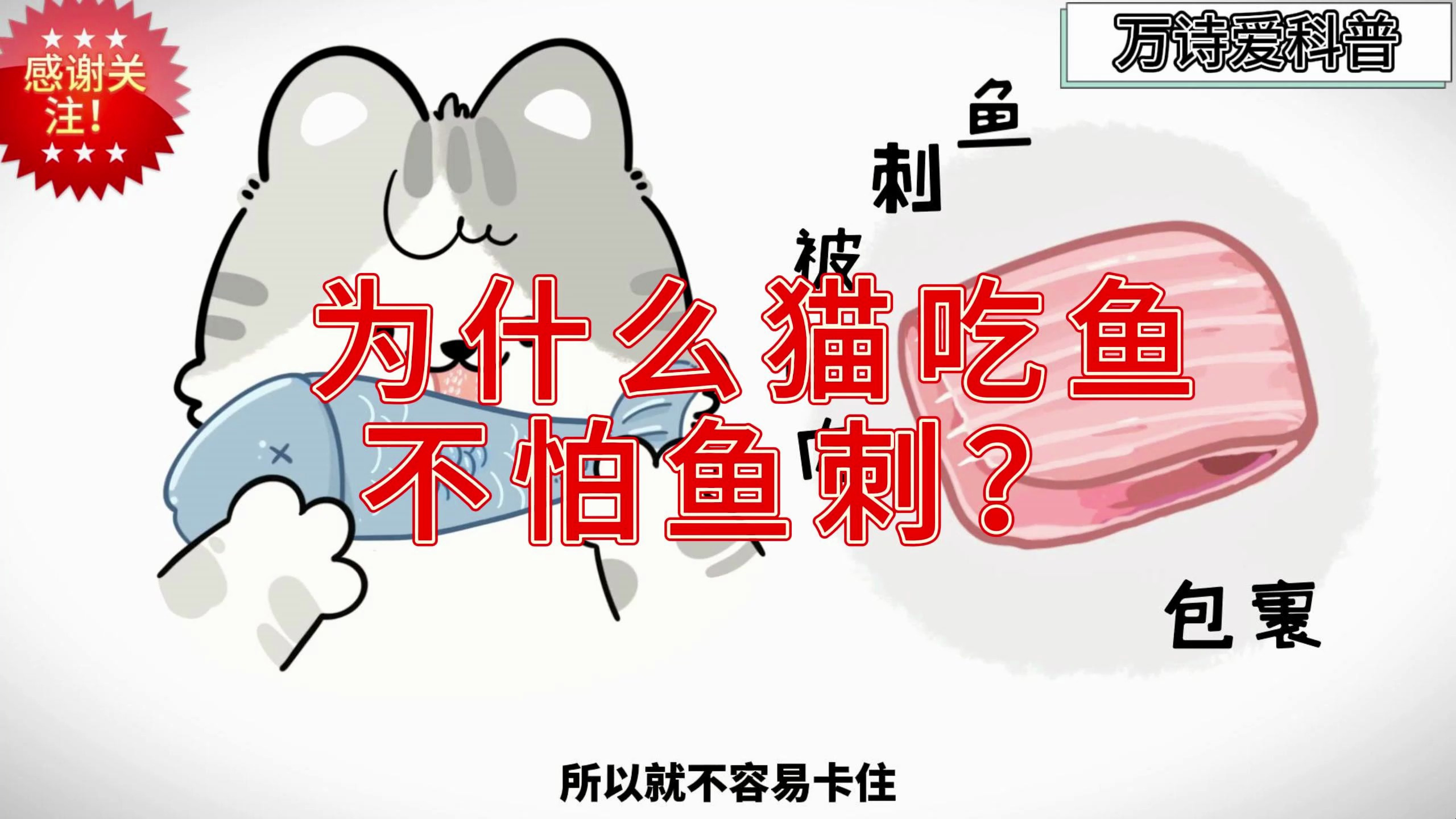 为什么猫吃鱼,不怕鱼刺?
