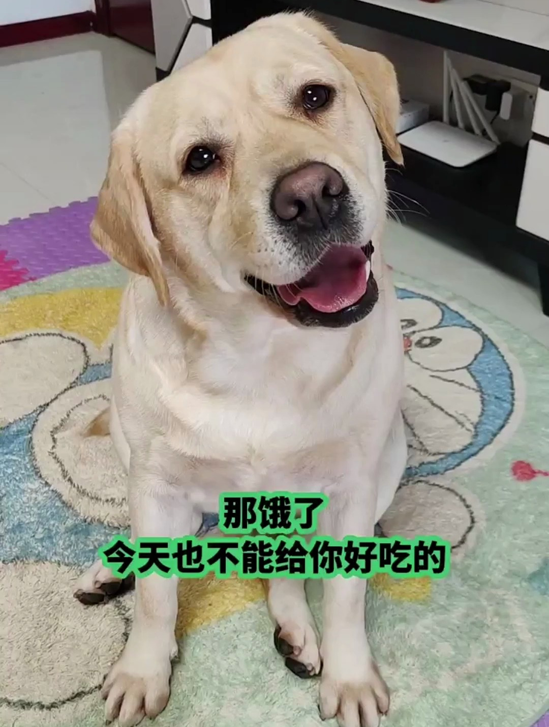 农夫三犬有点萌壁纸图片